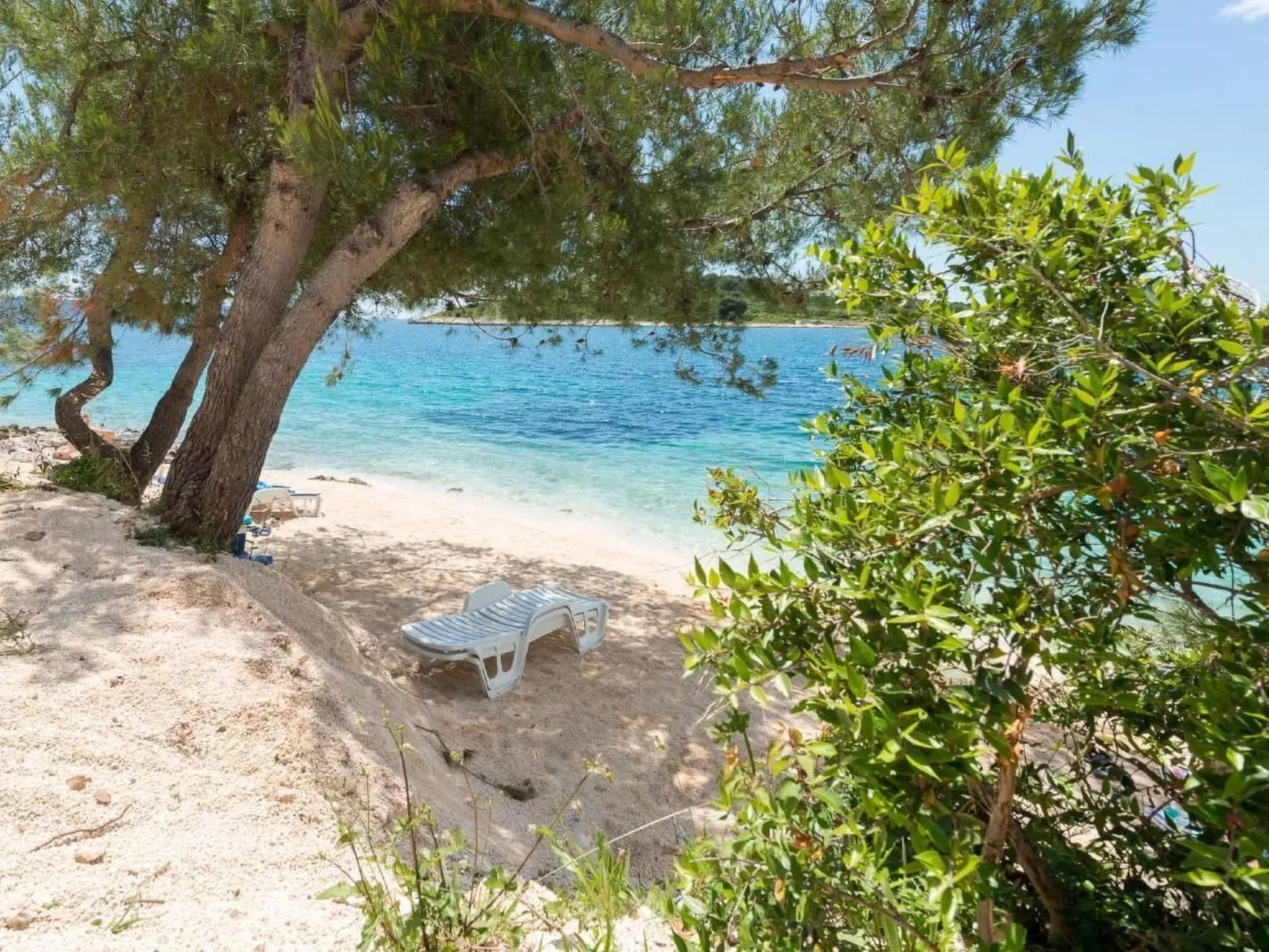 Sinaja-Image-tags.info