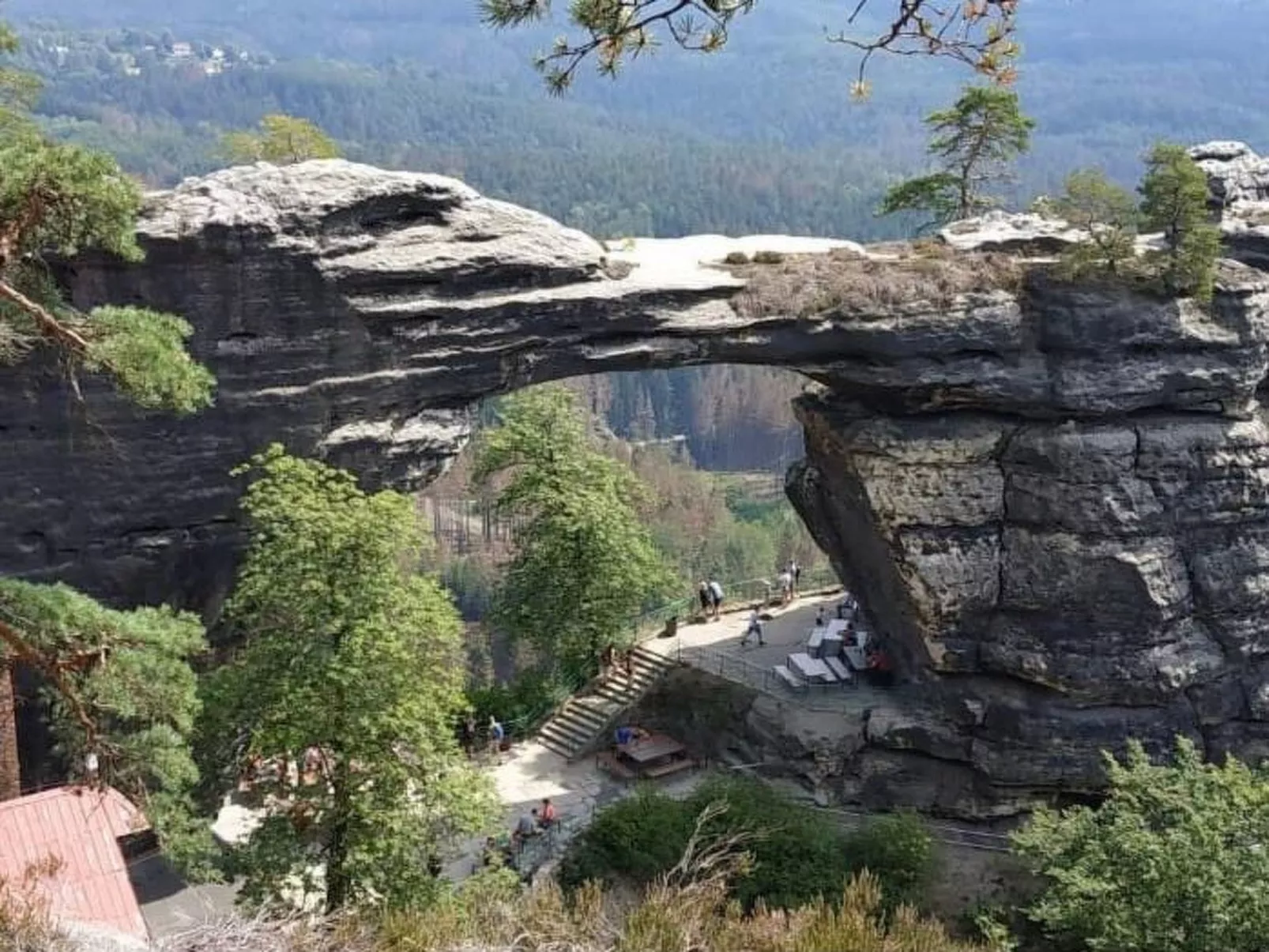 Dittrich in Pirna-Dehors