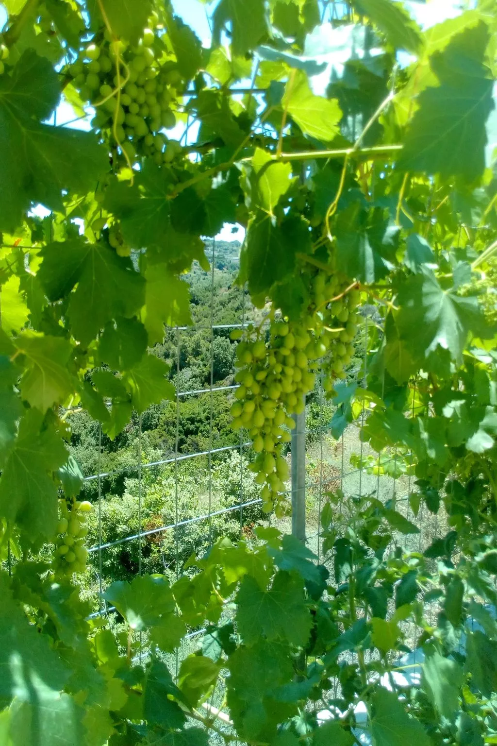 Villa Farangi entspannen.und genießen Sie völlig privat-Image-tags.info