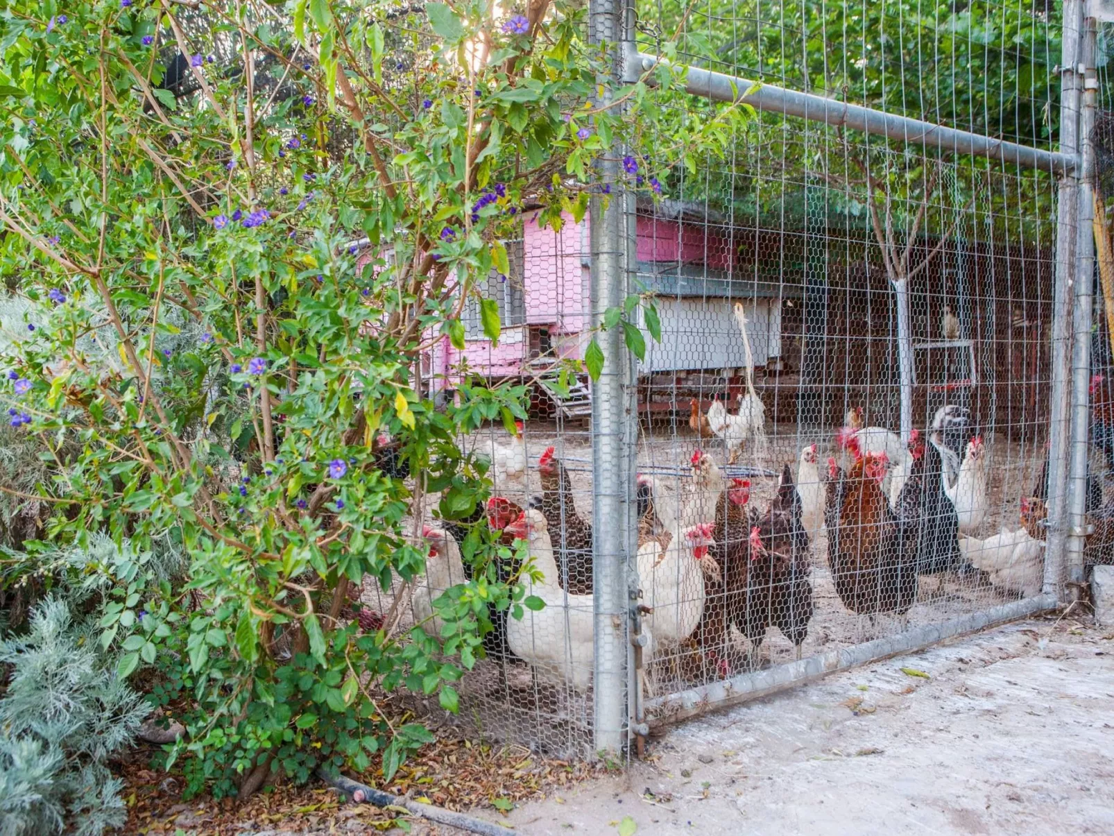 Hütte mit eigenem Garten und Grill-Dehors