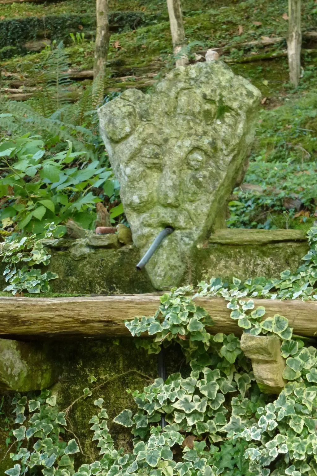 Mit Blick auf das Wasser-Dehors