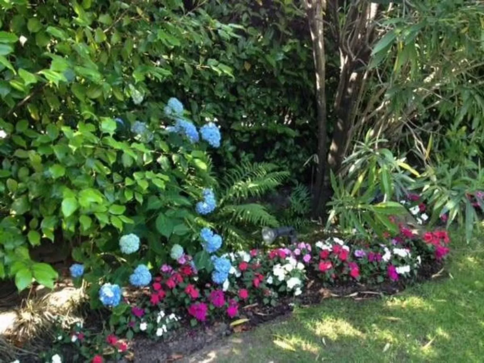 Casa Viola-Image-tags.info