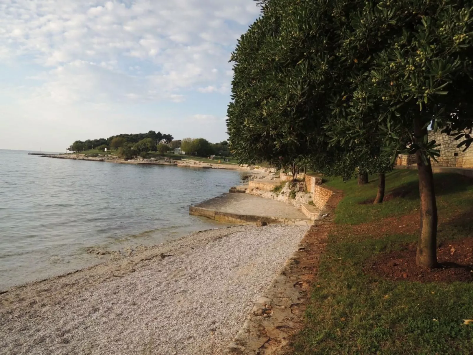 Rosmarin-Image-tags.info