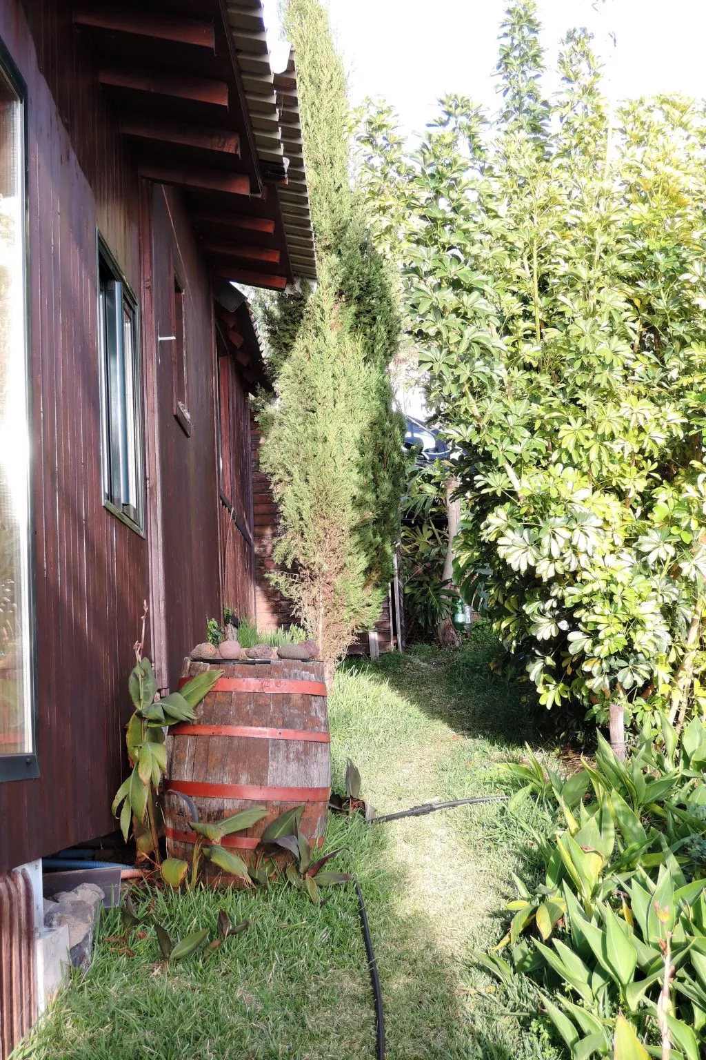 In Canhas mit Schönem Garten-Draußen