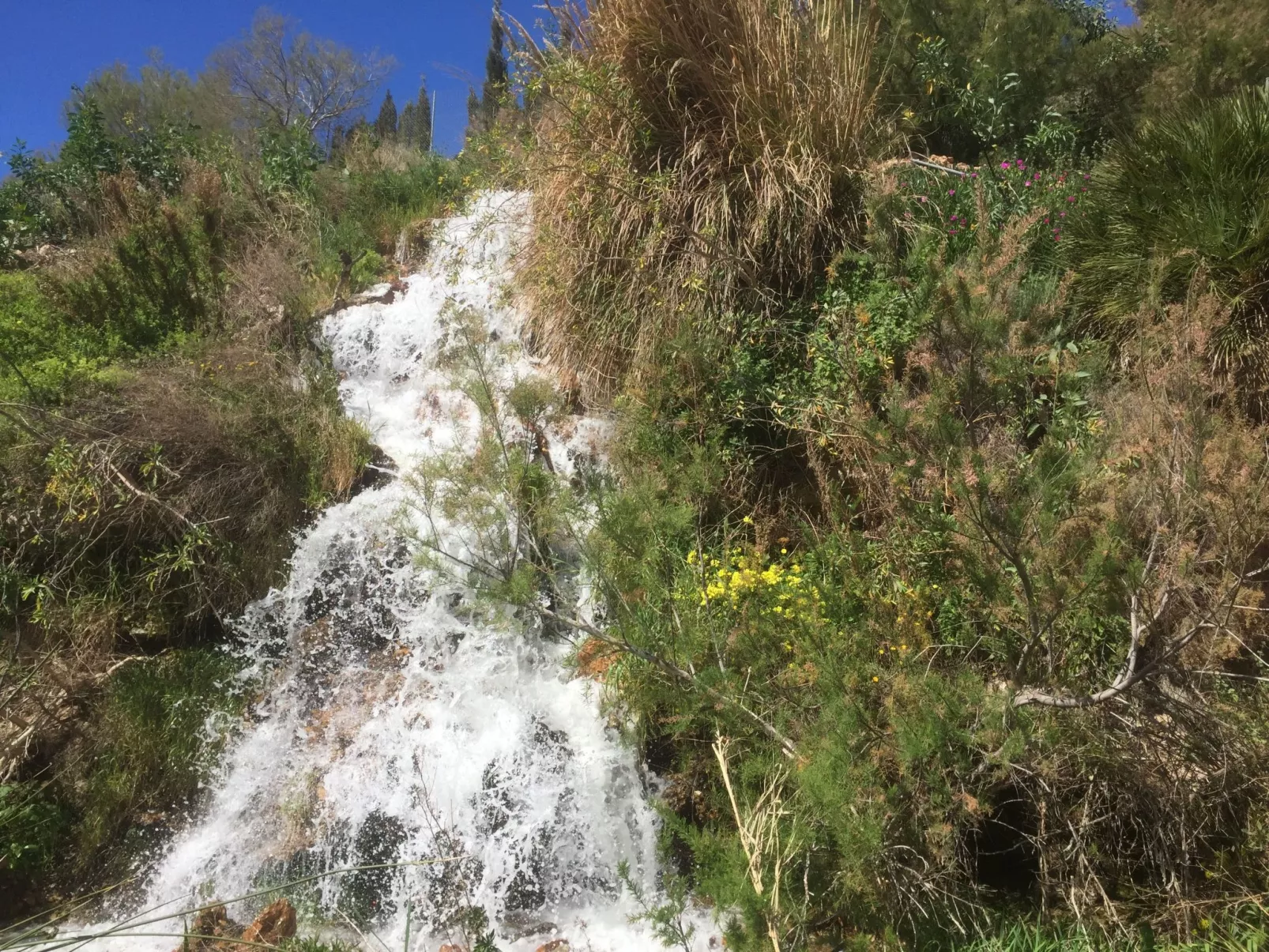 Casa Montana in Küstennähe... sehr empfehlenswert.-Drinnen