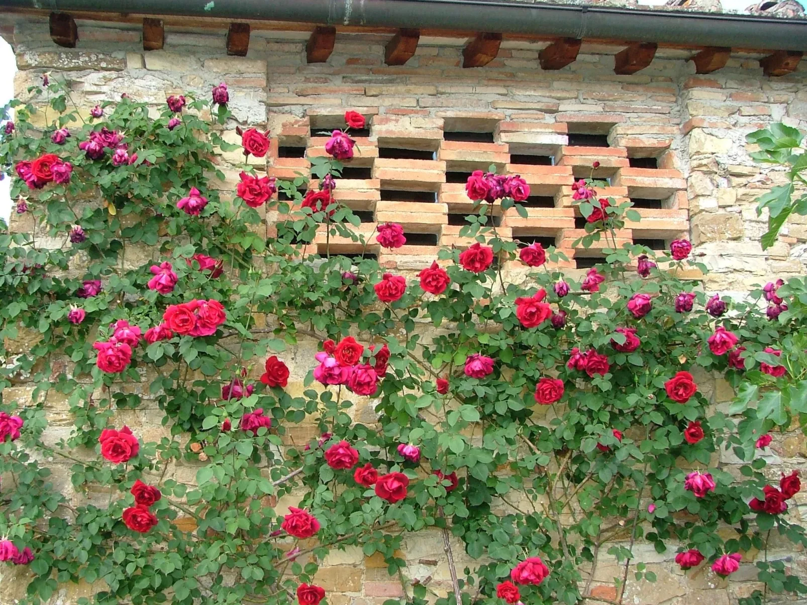 Wohnung mit Garten in Barberino Tavarnelle-Outside