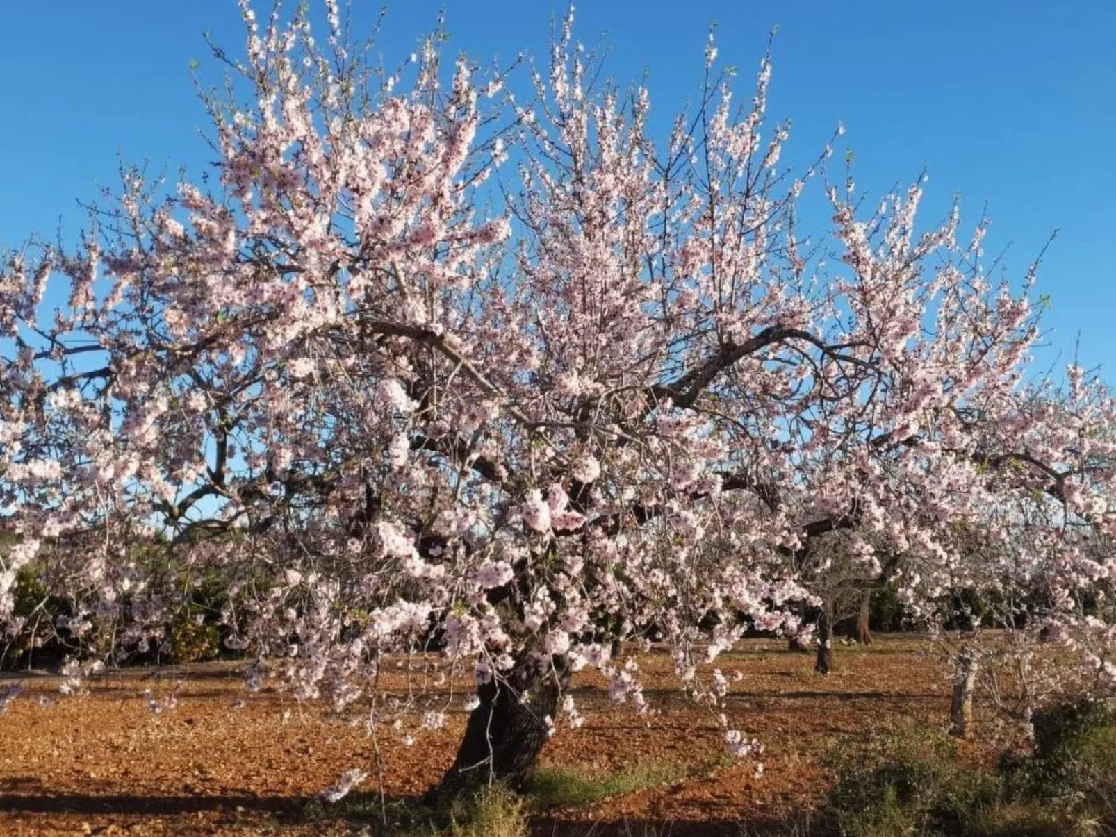 Casa Geminis 1 mit Garten und Meerblick-Inside