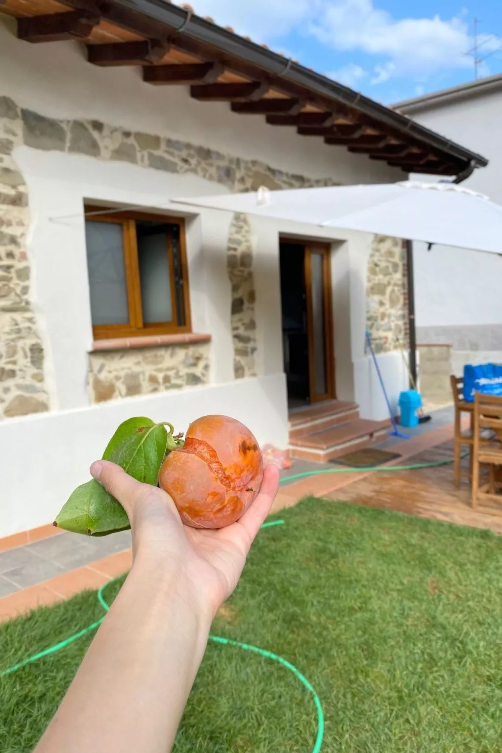 "Giotto" mit Terrasse-Draußen