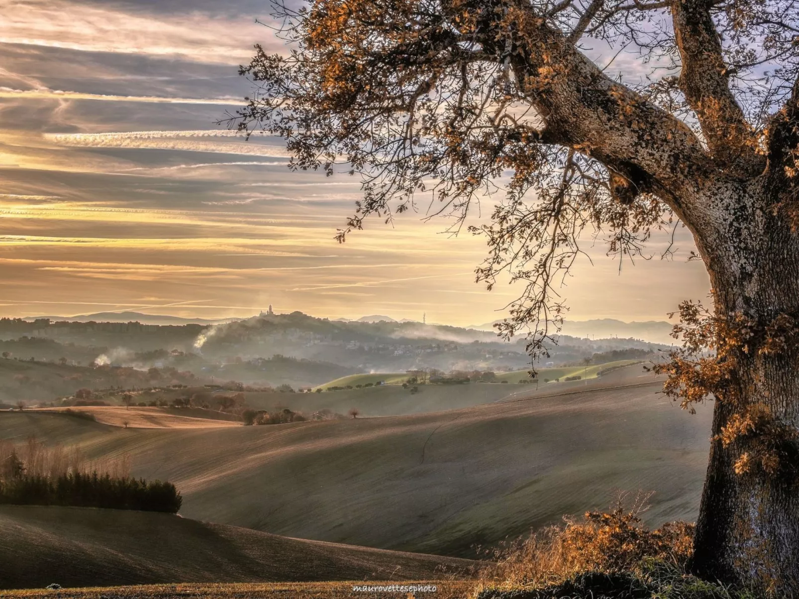 'Casa il Girasole'-Outside