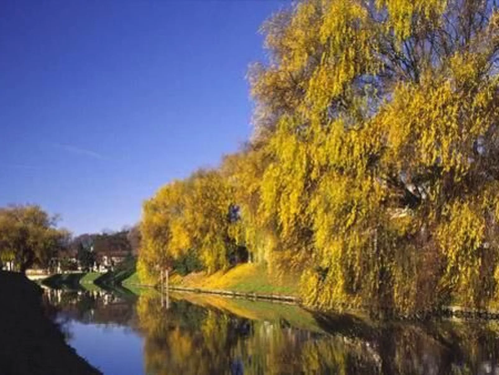 Elegante Wohnung in einer venezianischen Villa-Drinnen