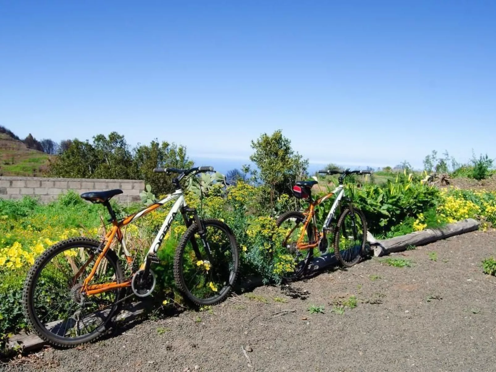 Ländliches Haus Monte del Agua-Outside