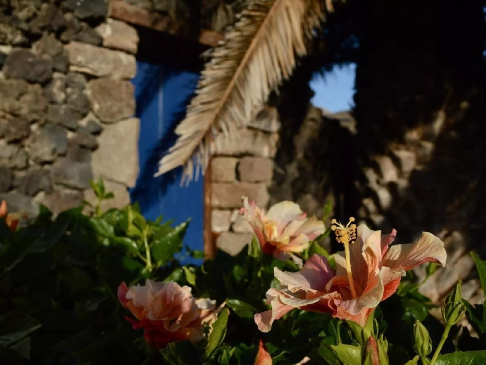 Appartement Casa Hibisco mit schönem Garten-Outside