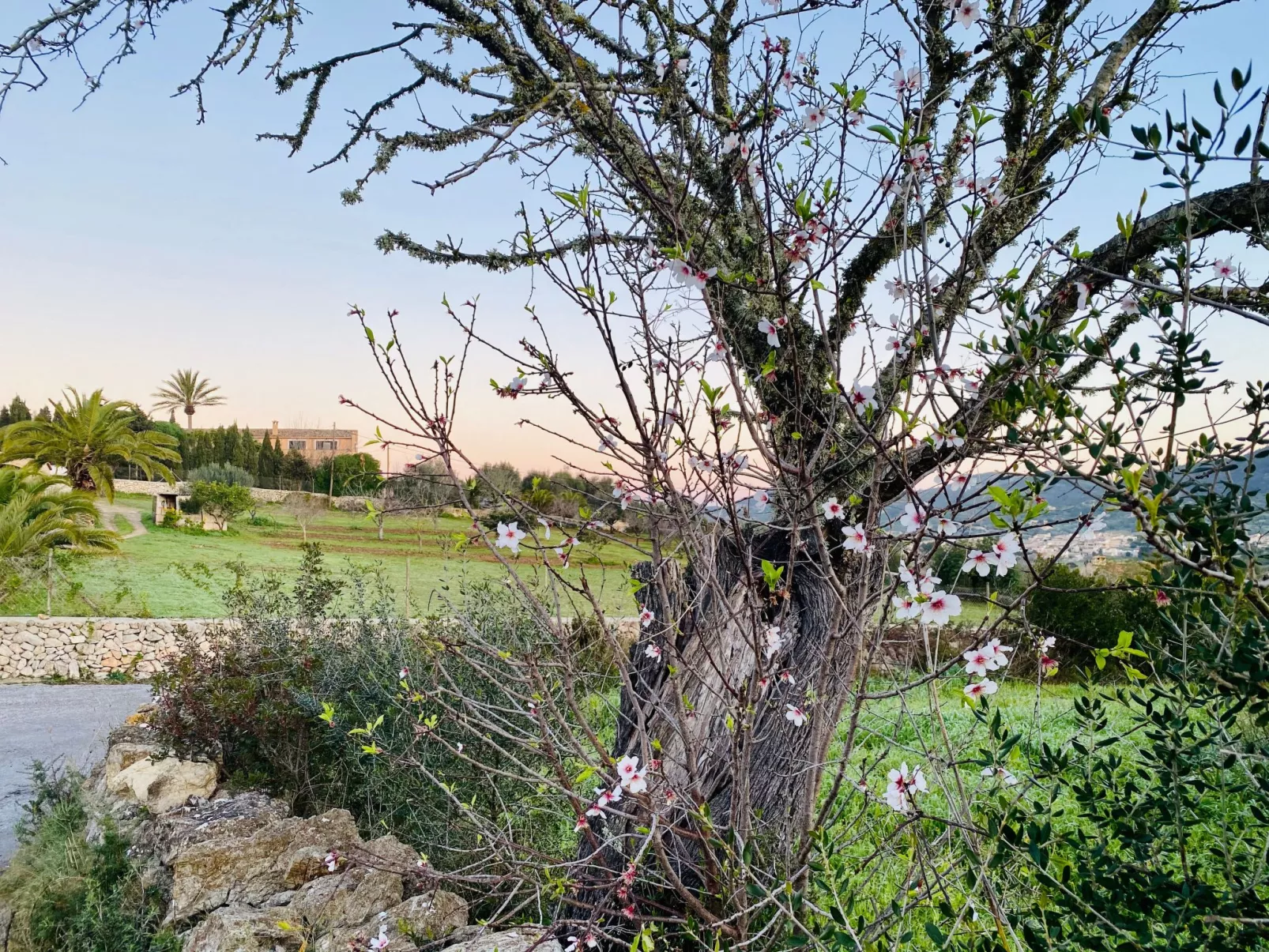 Adults Only Finca - Apartment zum entspannen-Outside