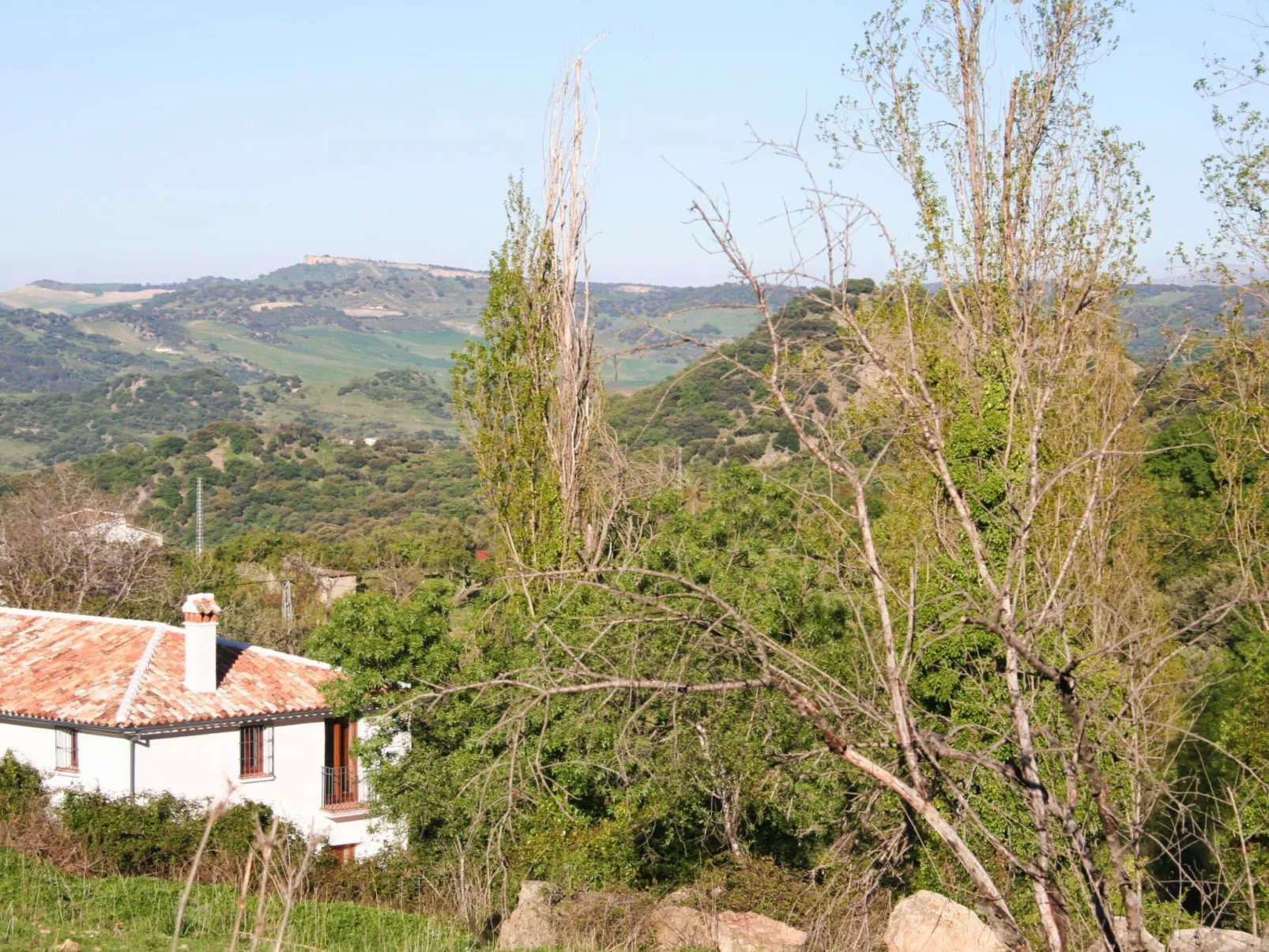 Gemütliches Landhaus Betania in Grazalema-Inside