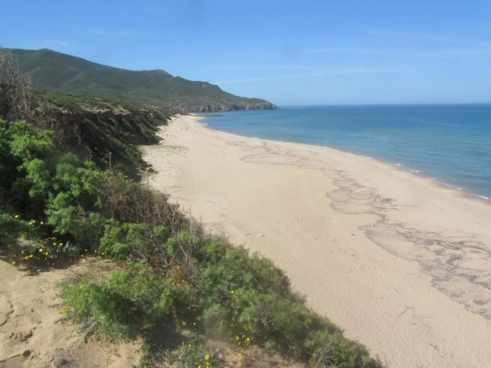 Su Sole de Barega-Image-tags.info