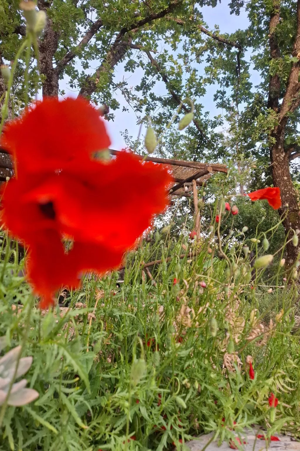 Ein-Zimmer-Wohnung in einem Bauernhaus-Outside
