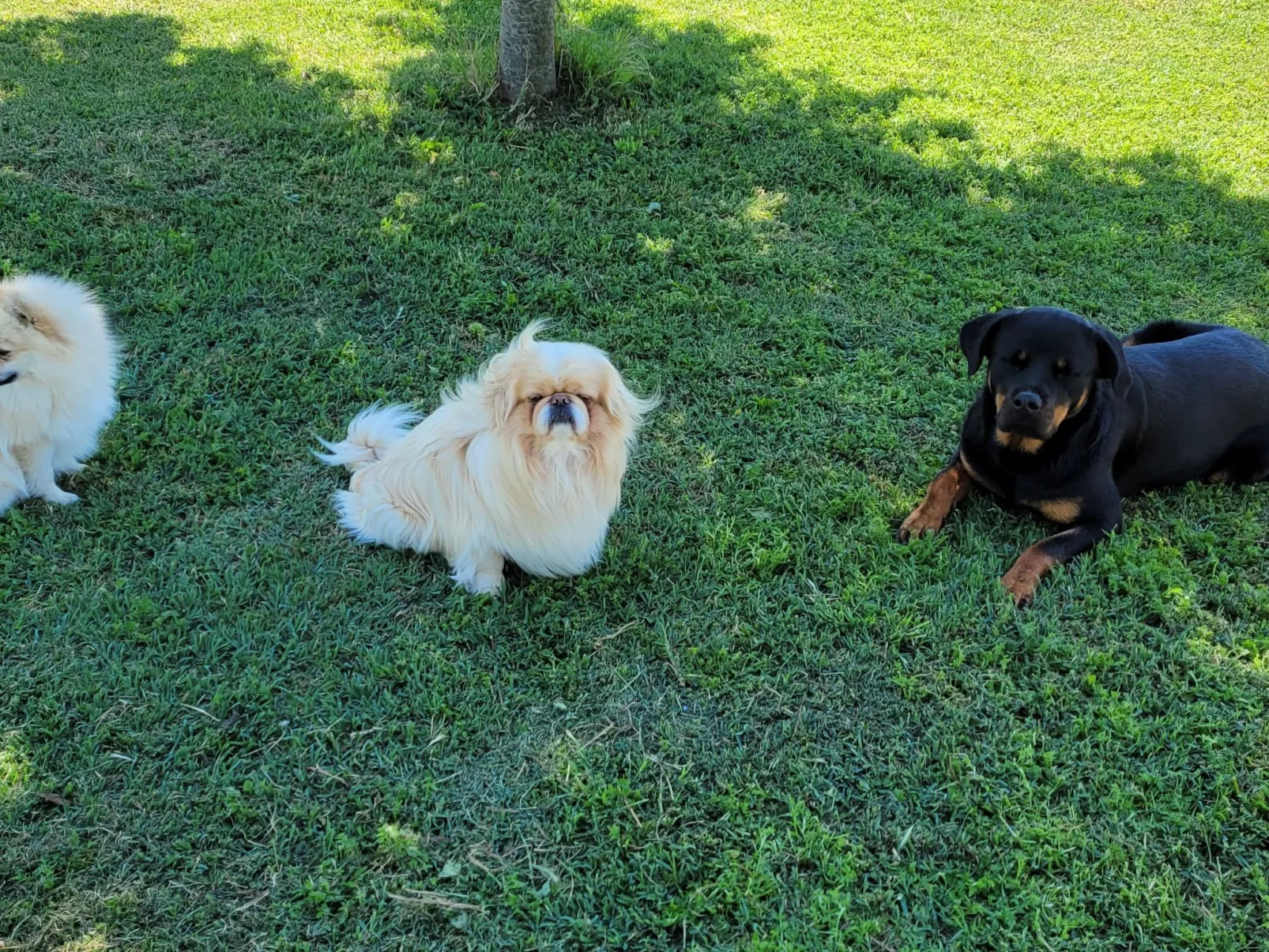 Wohnung 'Villa Jolanda Bed and Breakfast-Outside