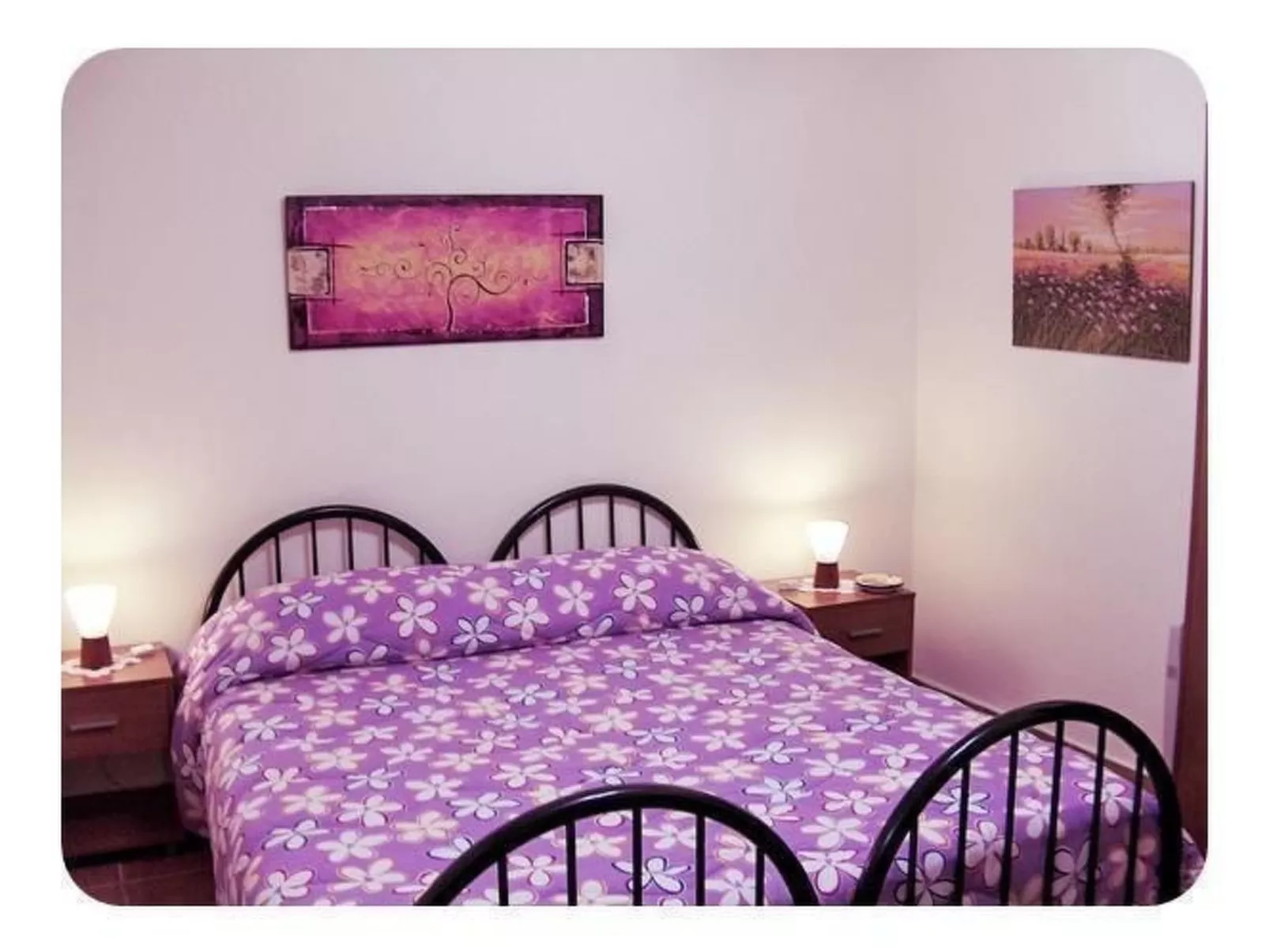 Don Diego-Image-tags.info