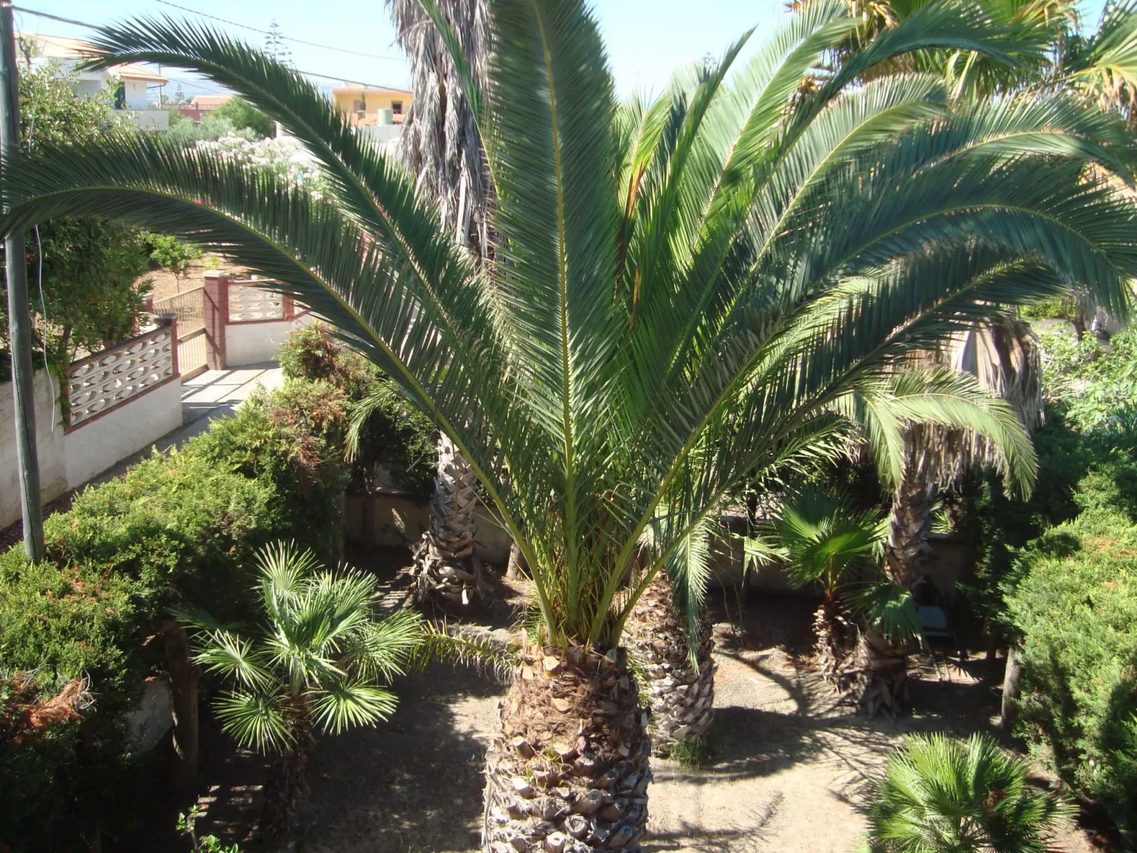 Villa Degli Angeli mit Blick auf das Meer-Draußen