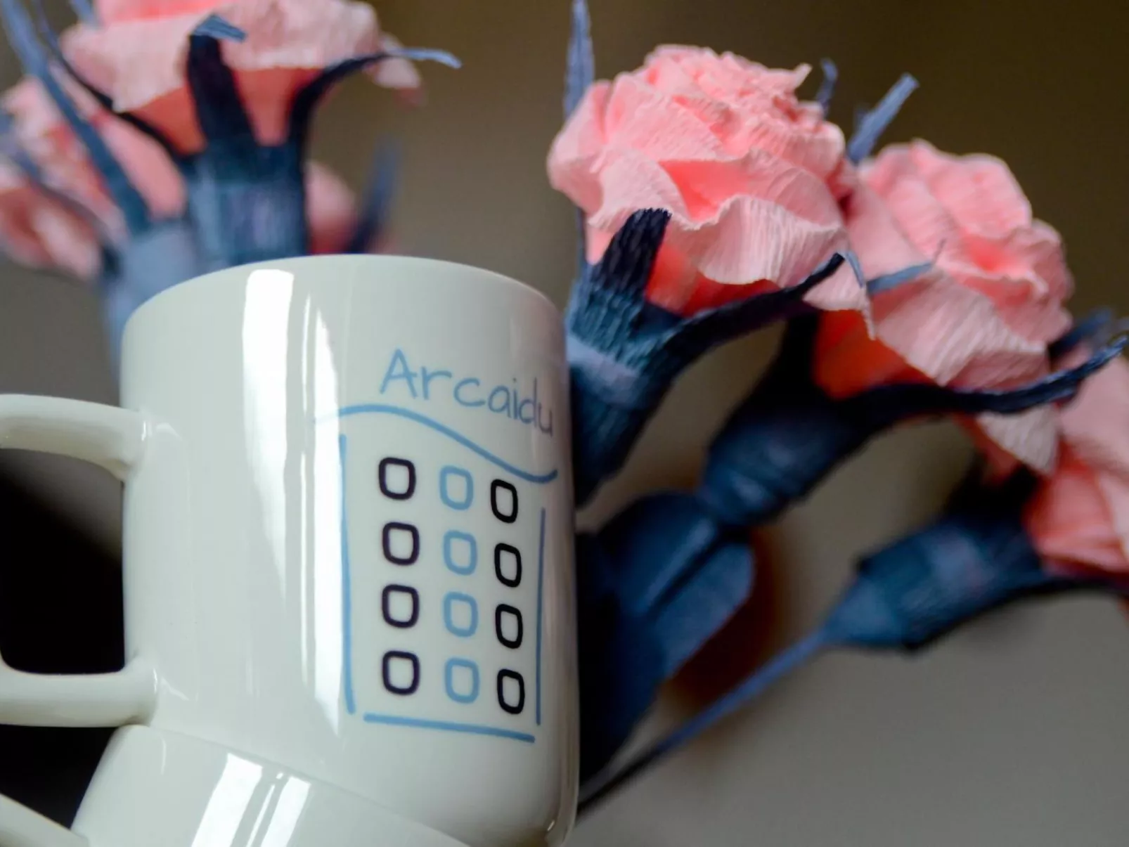 Arcaidu Apartment mit bezaubernder Aussicht-Image-tags.info