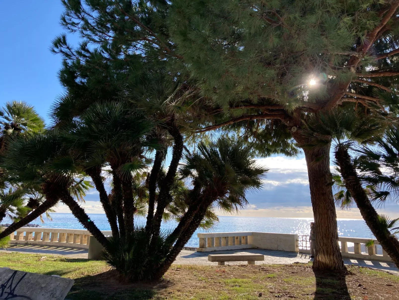 Casa Uliveto-Draußen