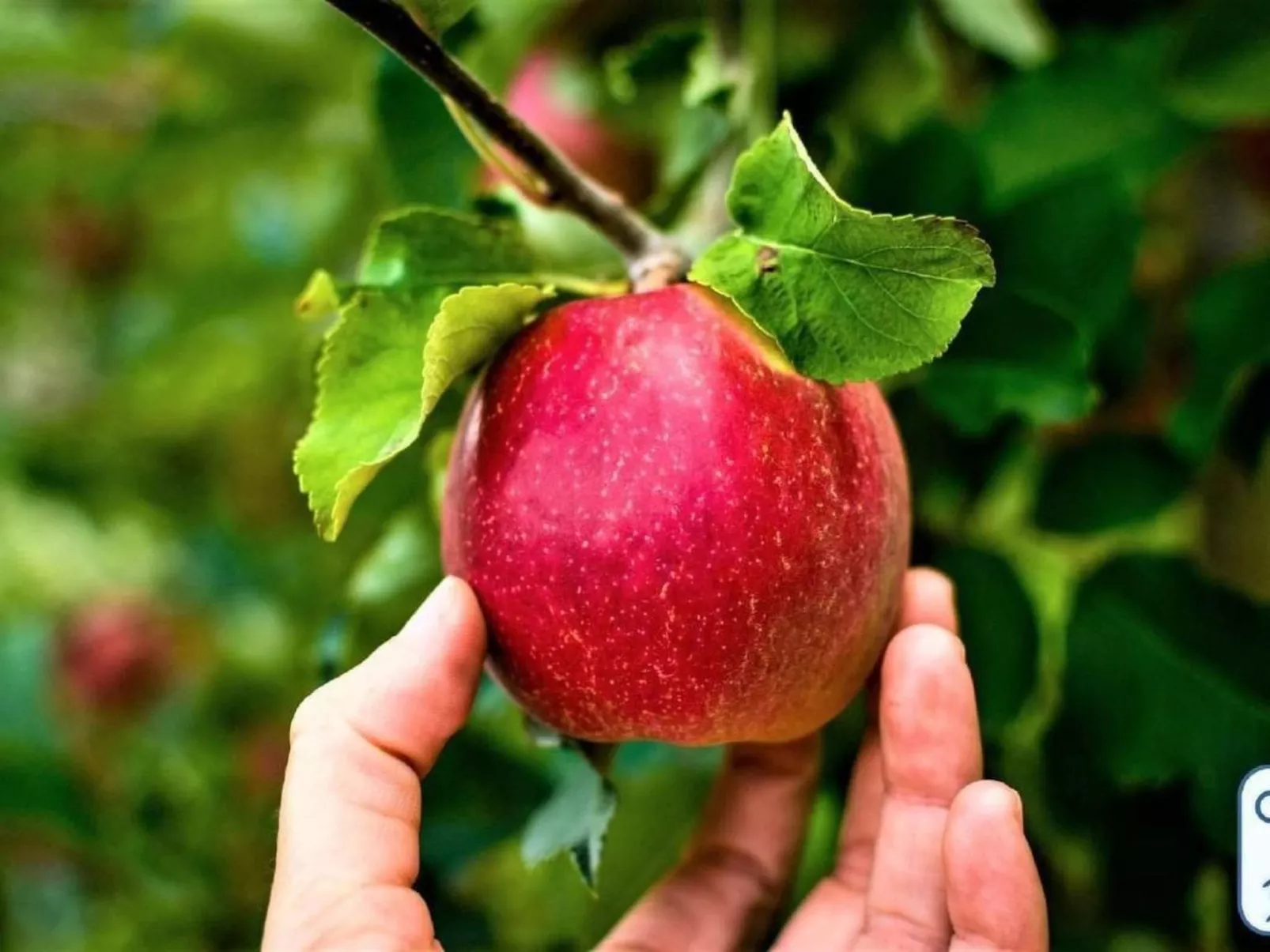 'Antico Eremo'-Draußen