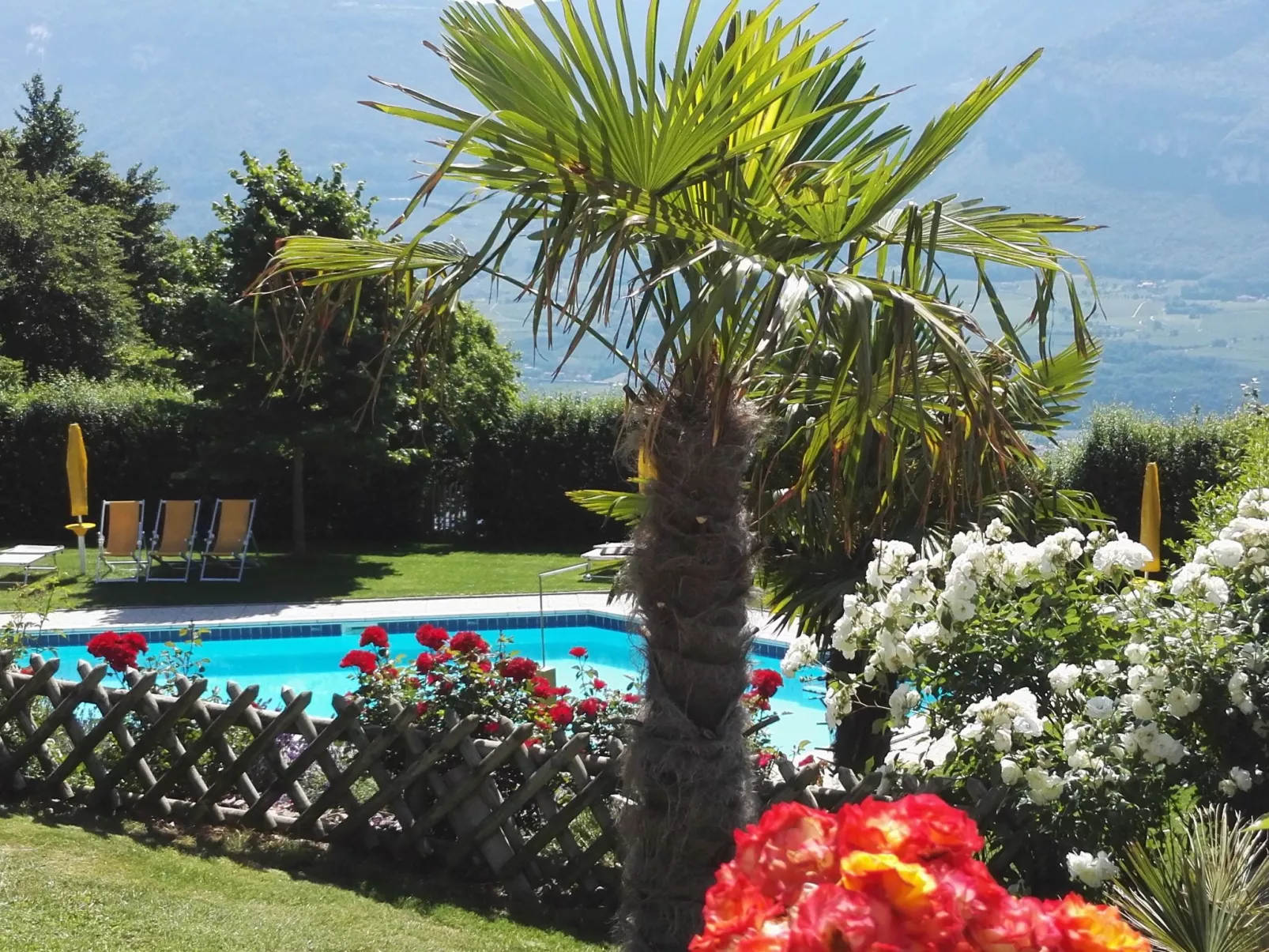 Kerschbamerhof Fewo Pink Lady mit Panoramablick-Draußen