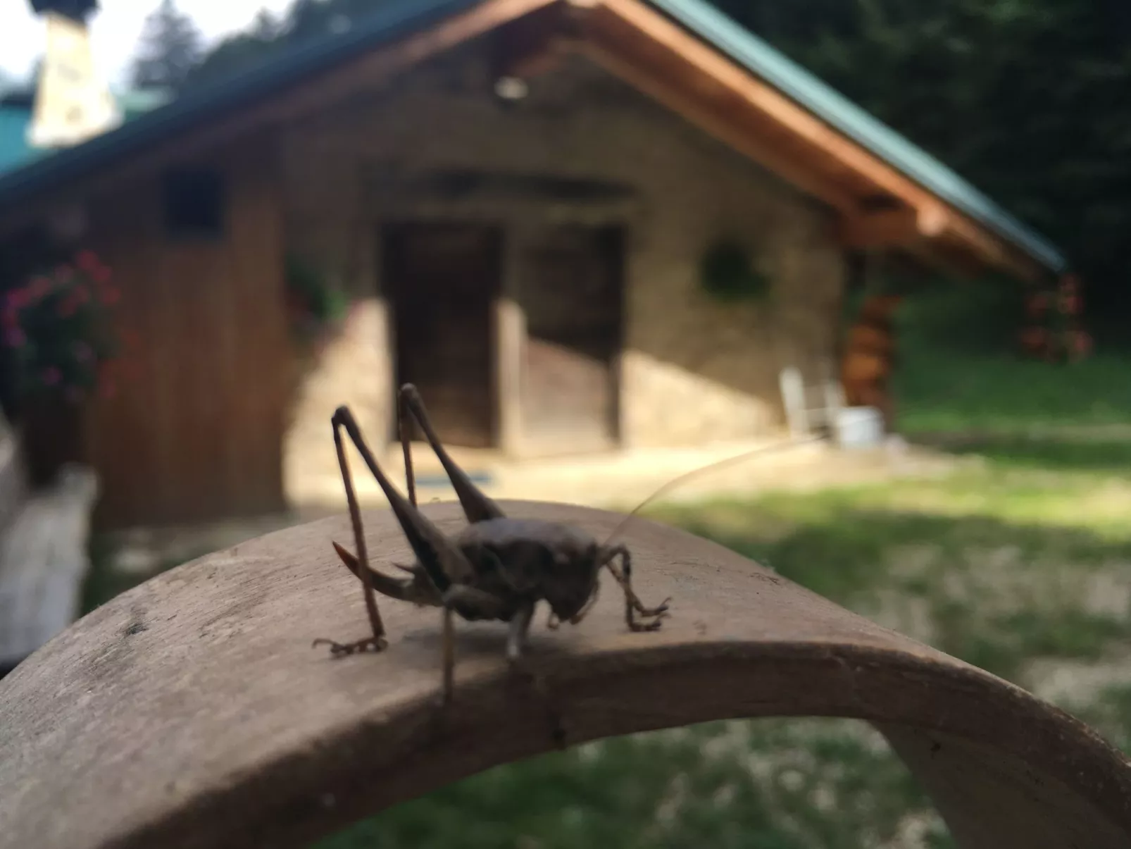 Mit Sauna in Pieve Di Bono-Outside