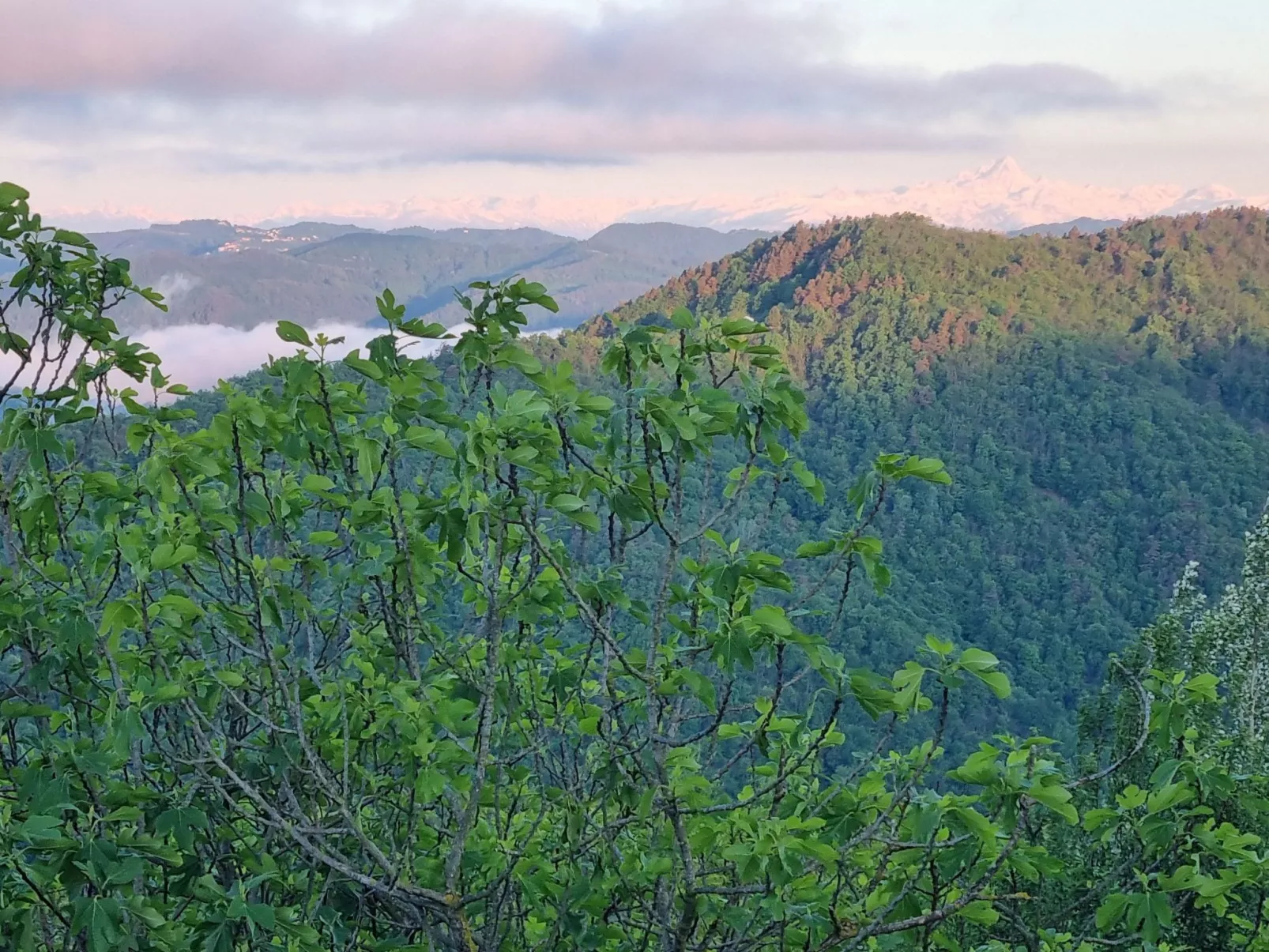 Cascina Bricco - Perletto Ferienwohnung-Draußen