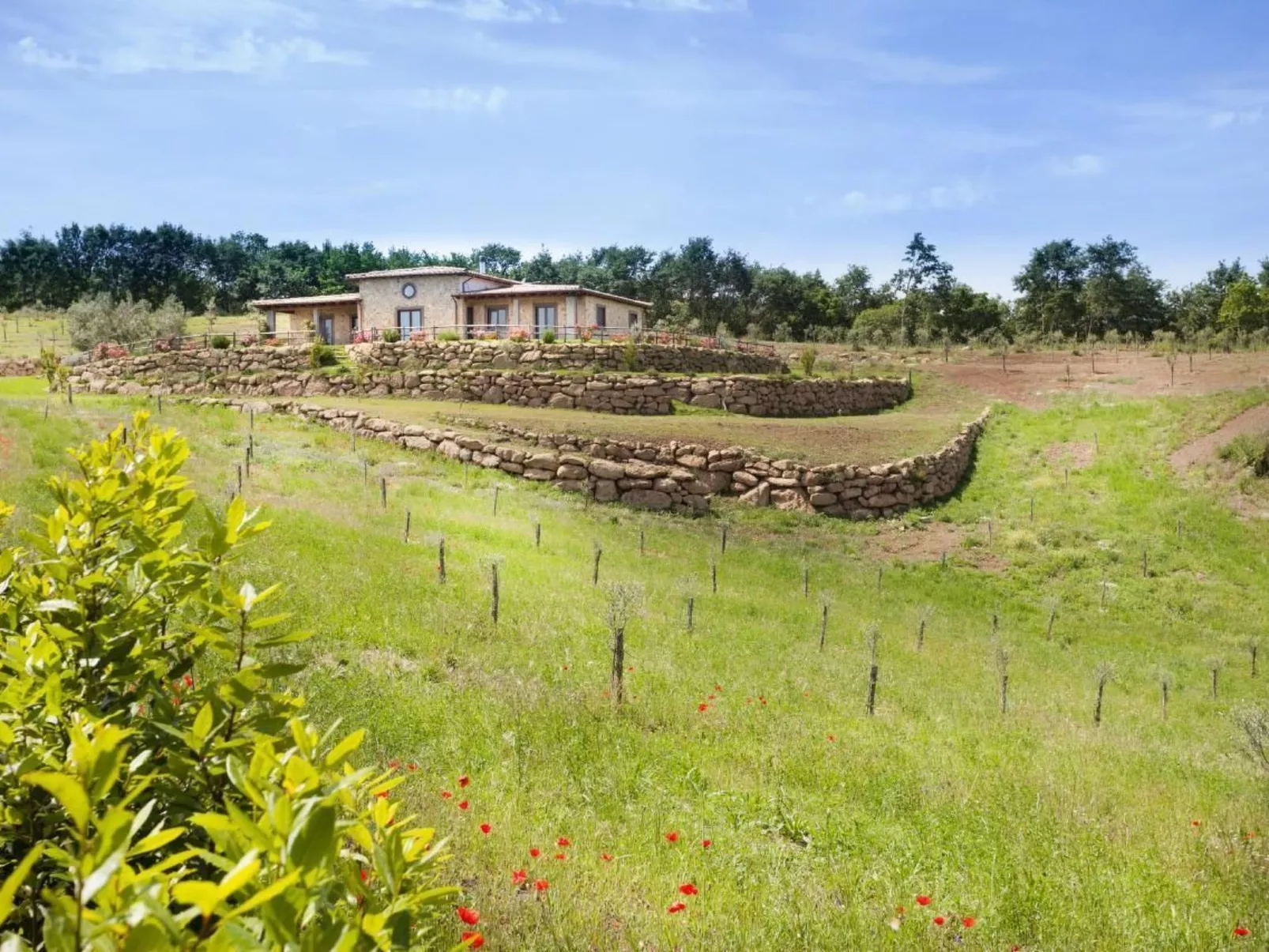 Freistehendes Haus mit privatem Pool-Dehors