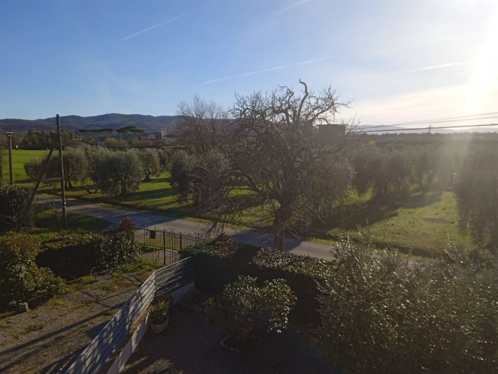 Der Birnbaum-Outside