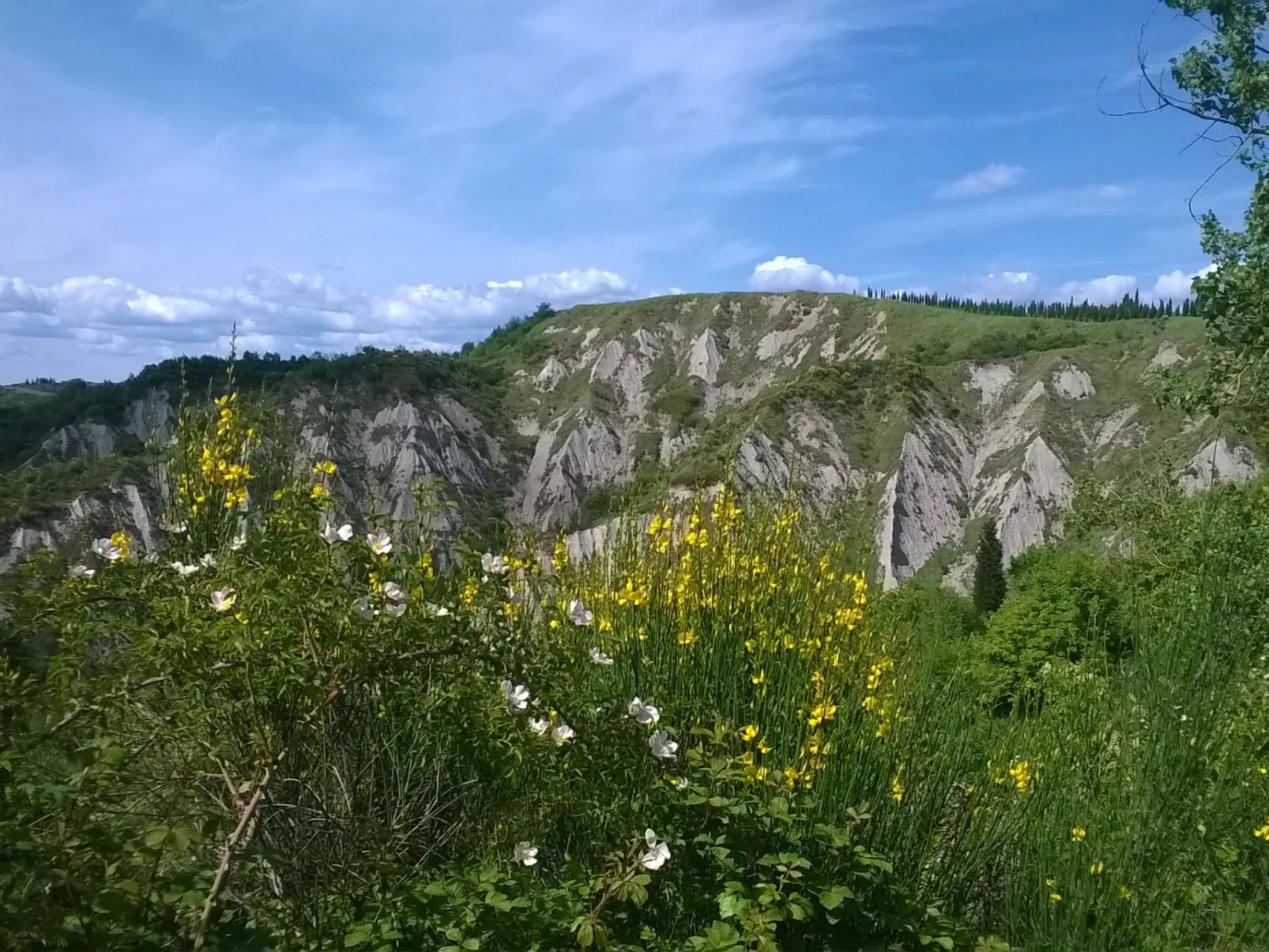 Wohnung mit Garten und oberirdischem Pool-Draußen