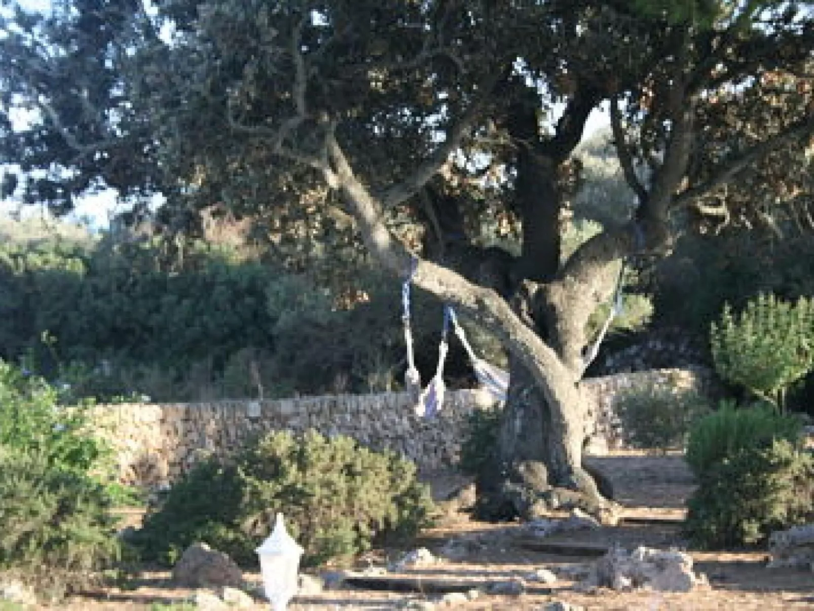 Gemütliches Ferienhaus in Alaior mit Privatem Pool-Draußen