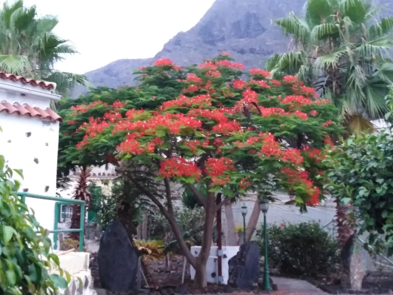 Haus El Cardón A1-Image-tags.info