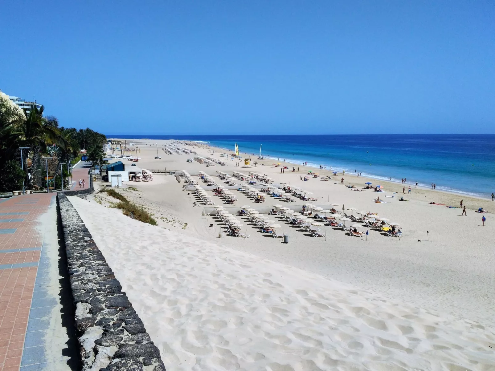 Wohnungen Palm Garden-Drinnen