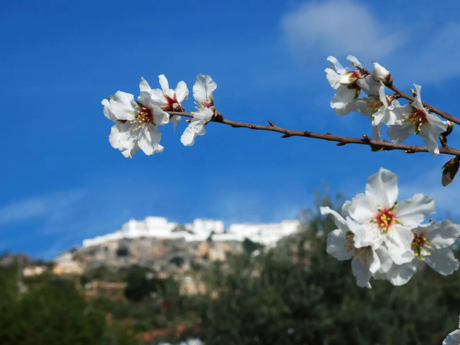Finca "Casa Maria" mit Bergblick-Dehors