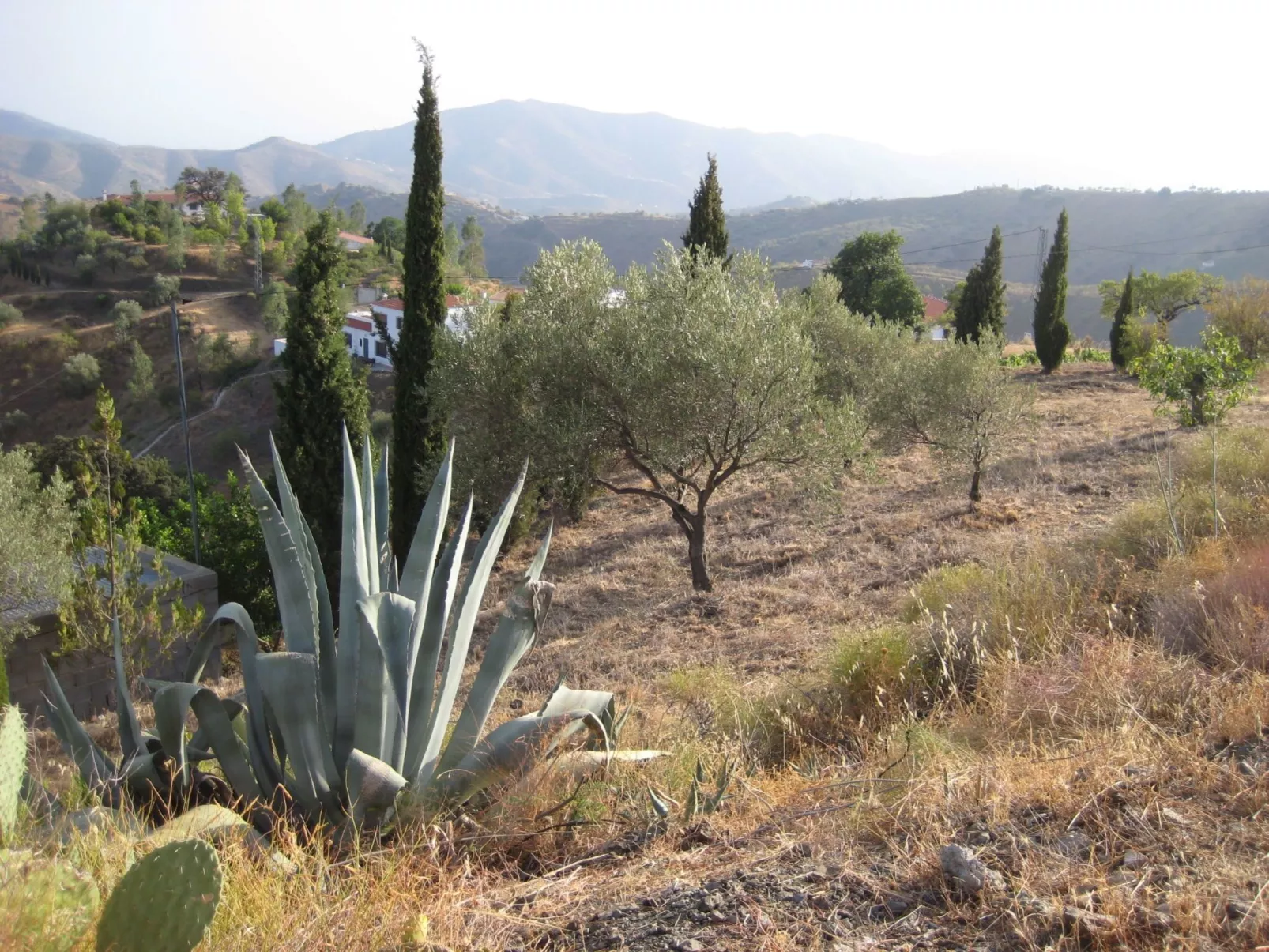 Finca 'Casa Siete Arcos' - Outside