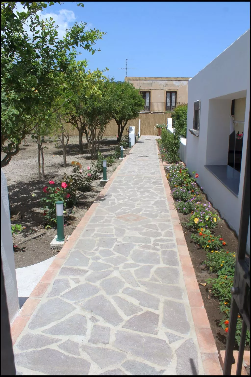 'Camelia ab 236-Dehors