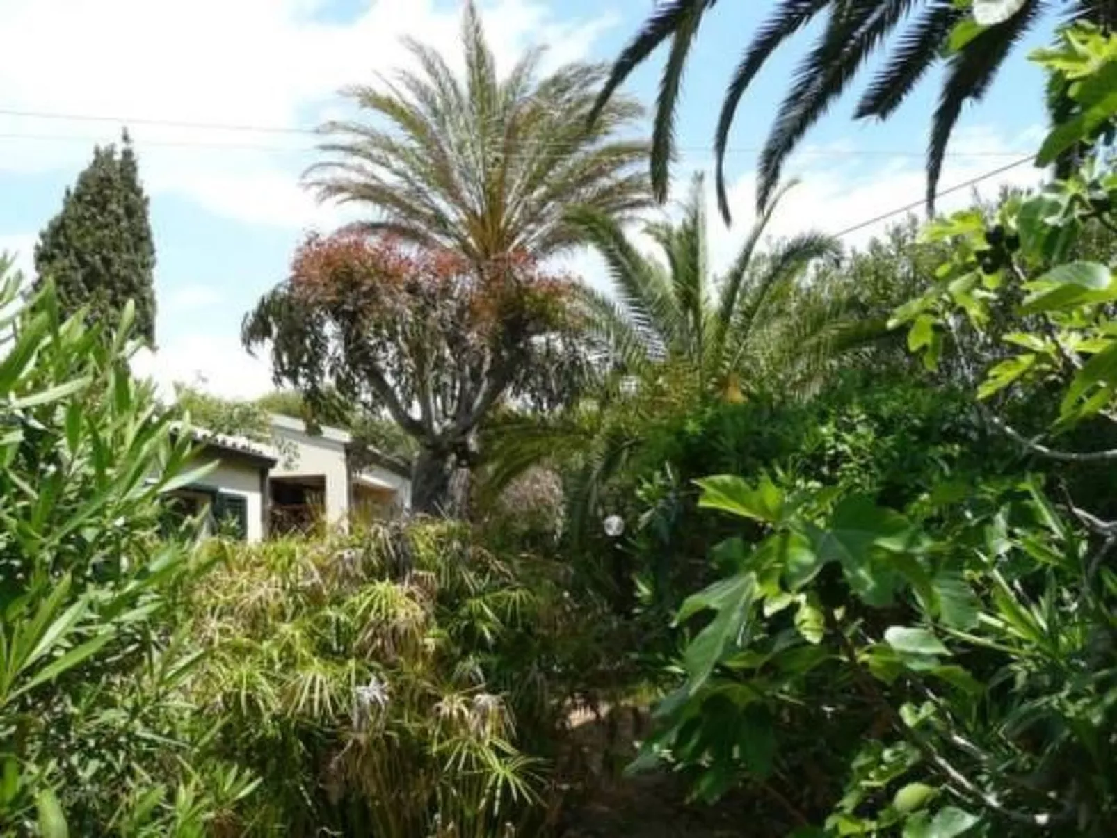 Schöner zentraler Bungalow direkt am Sandstrand auf Sizilien-Inside