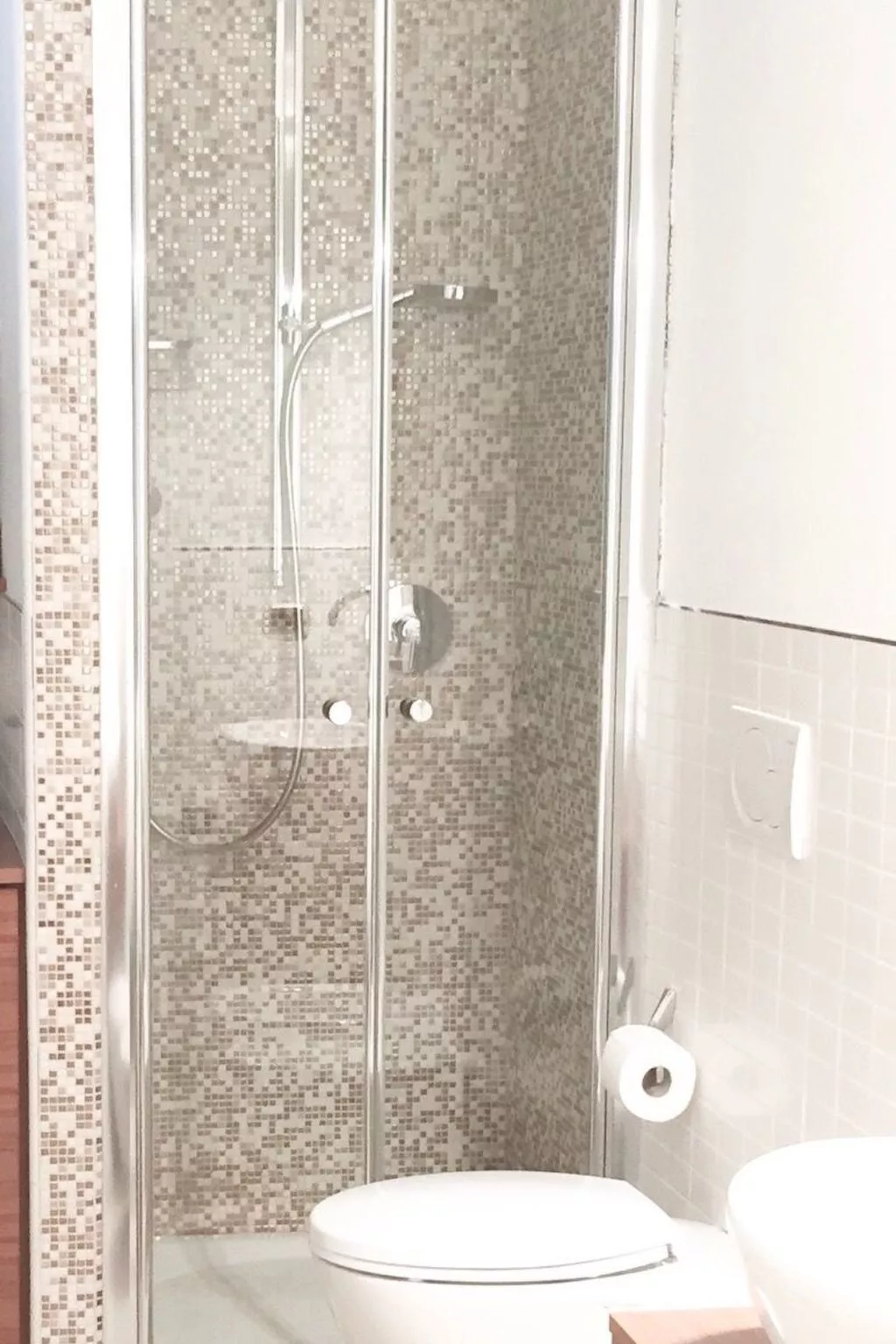 Penthouse mit Garten und privater Terrasse in Villa-Inside