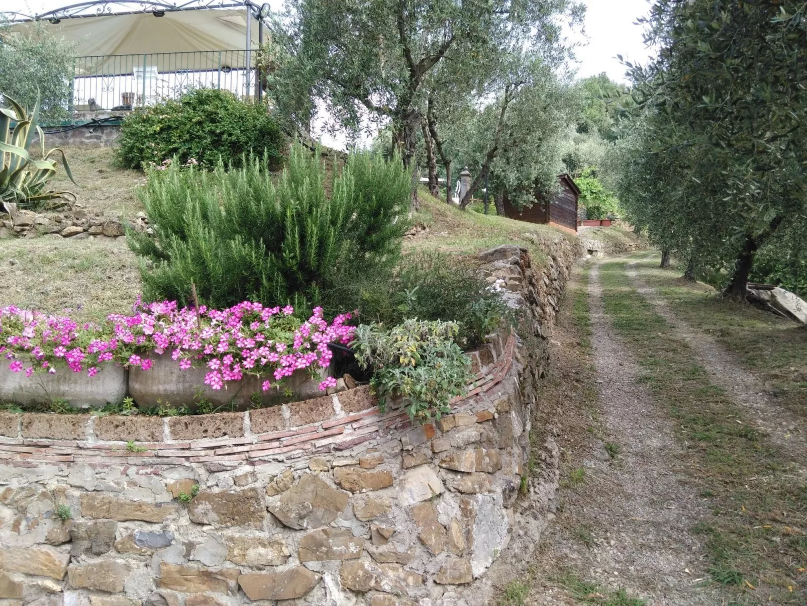 Toskanische Villa 14 Personen Ultra-Panoramapool-Image-tags.info