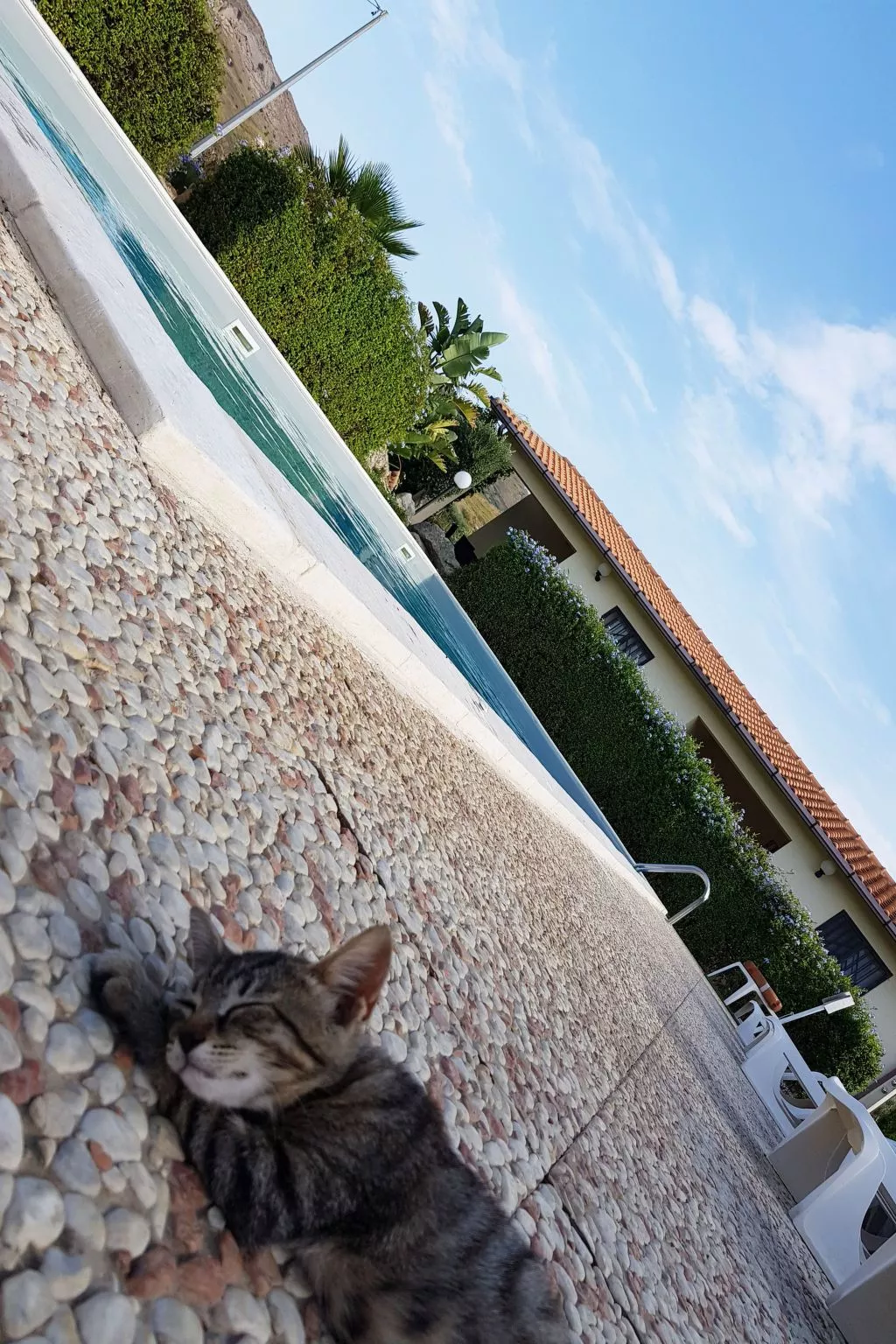 Wohnung 5 - Zwei-Zimmer-Wohnung-Inside