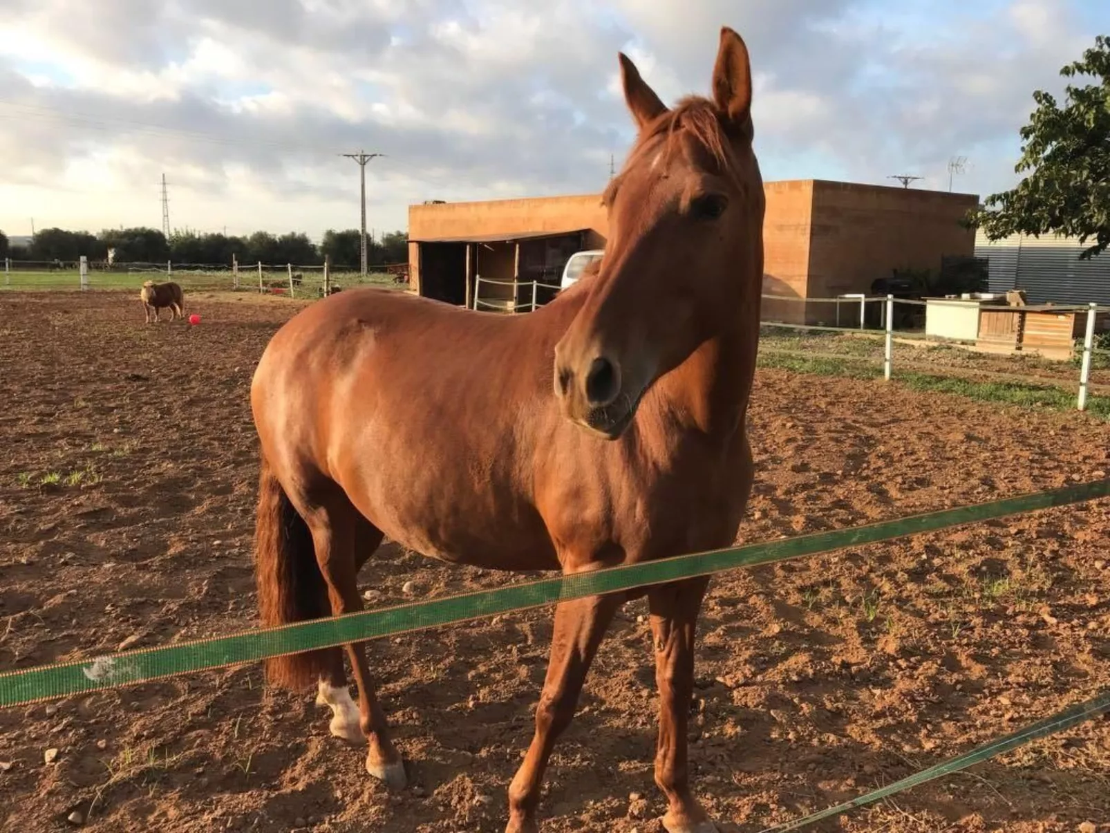 Design Vila mit Pool-Outside