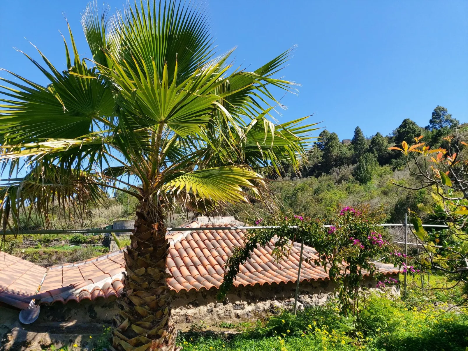 FW Cueva del Viento-Outside