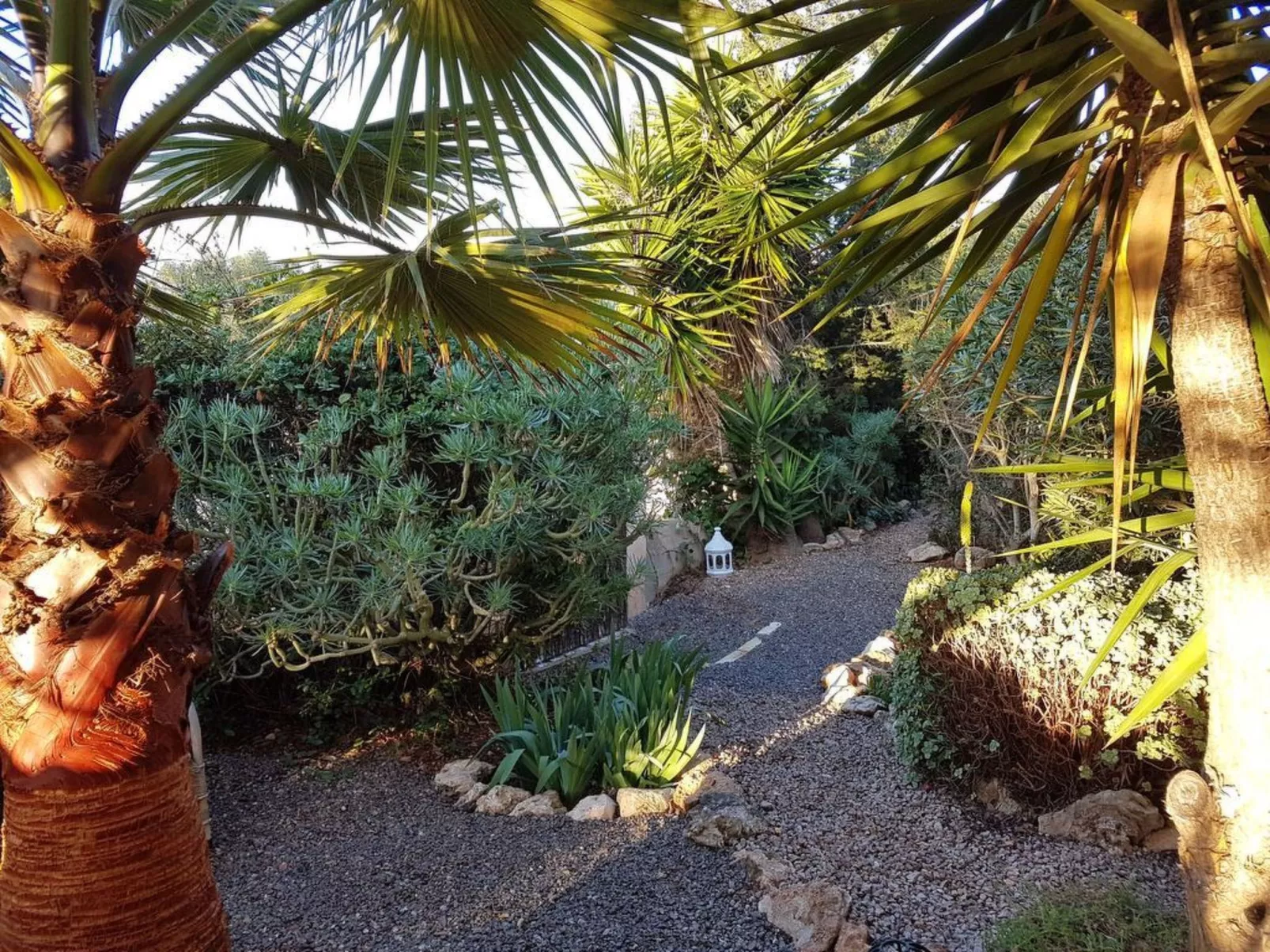 Wunderschöne Wohnung in Campos mit Terrasse-Image-tags.info