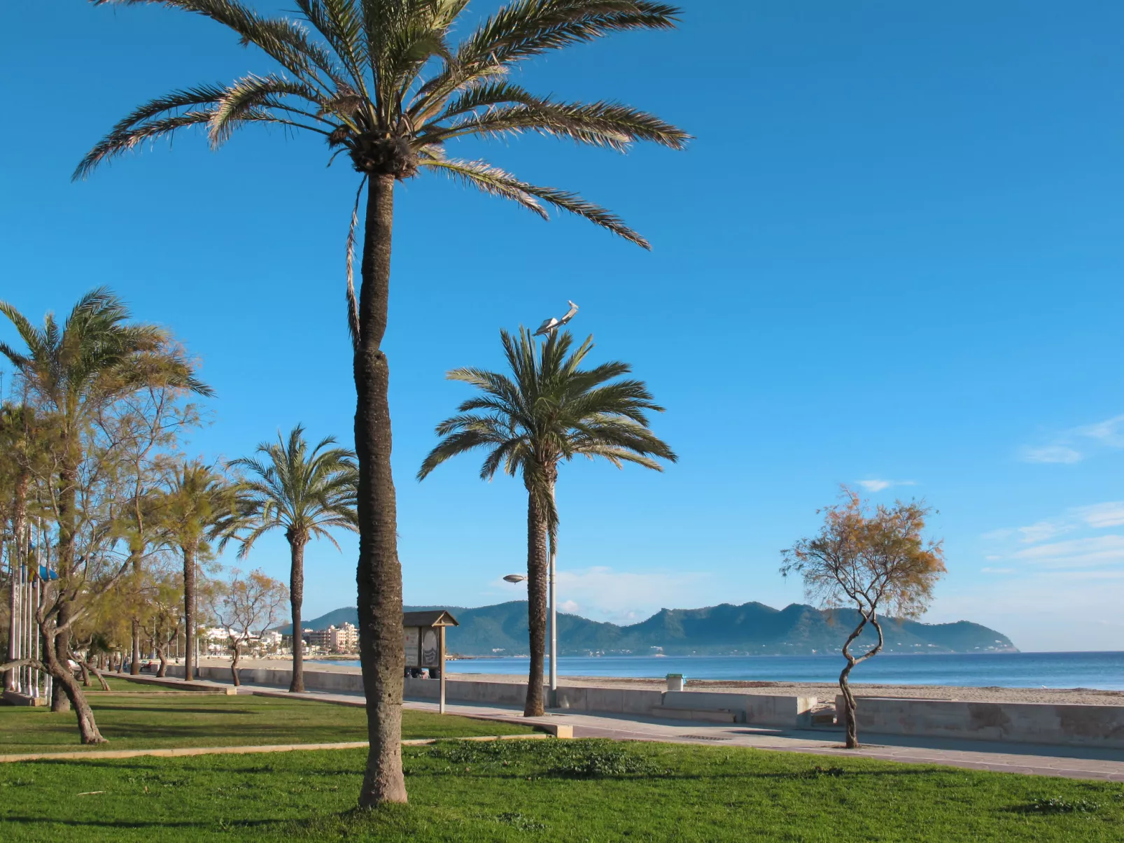 Wohnung in Cala Millor Los Rosales-Area