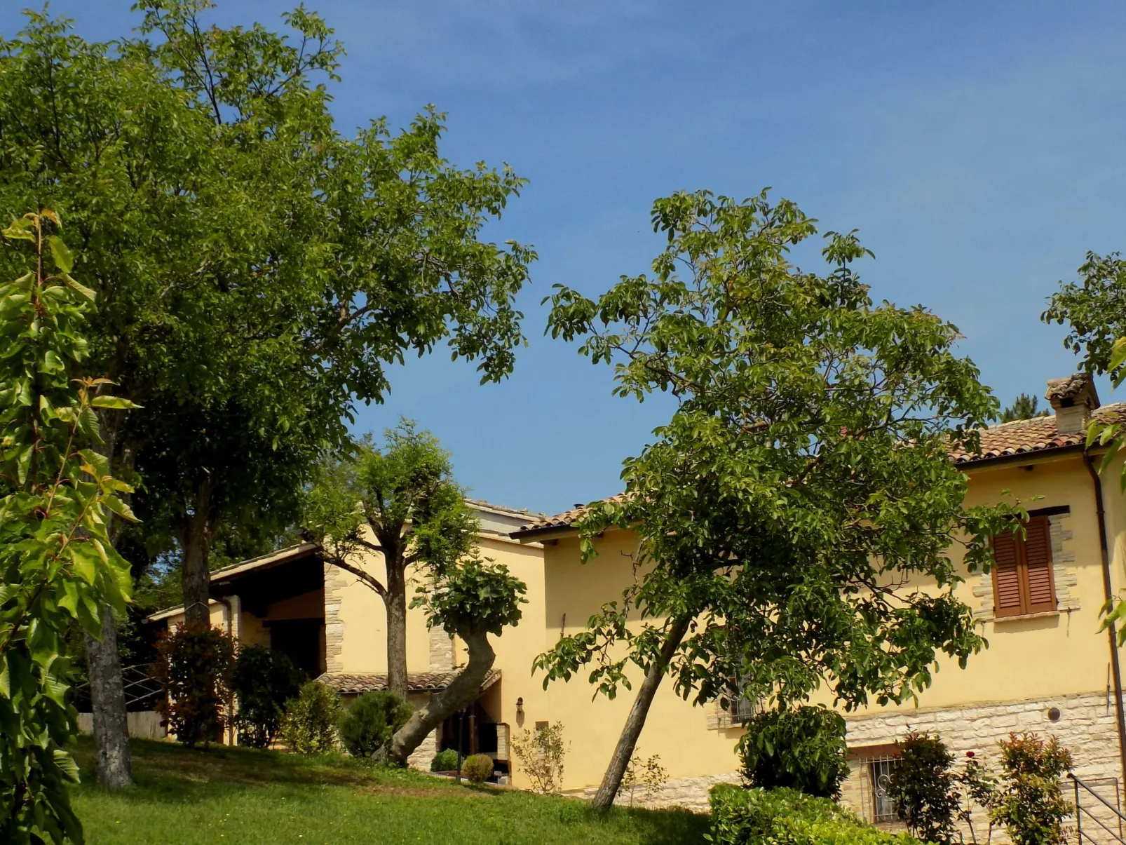 Rose in Cagli-Dehors