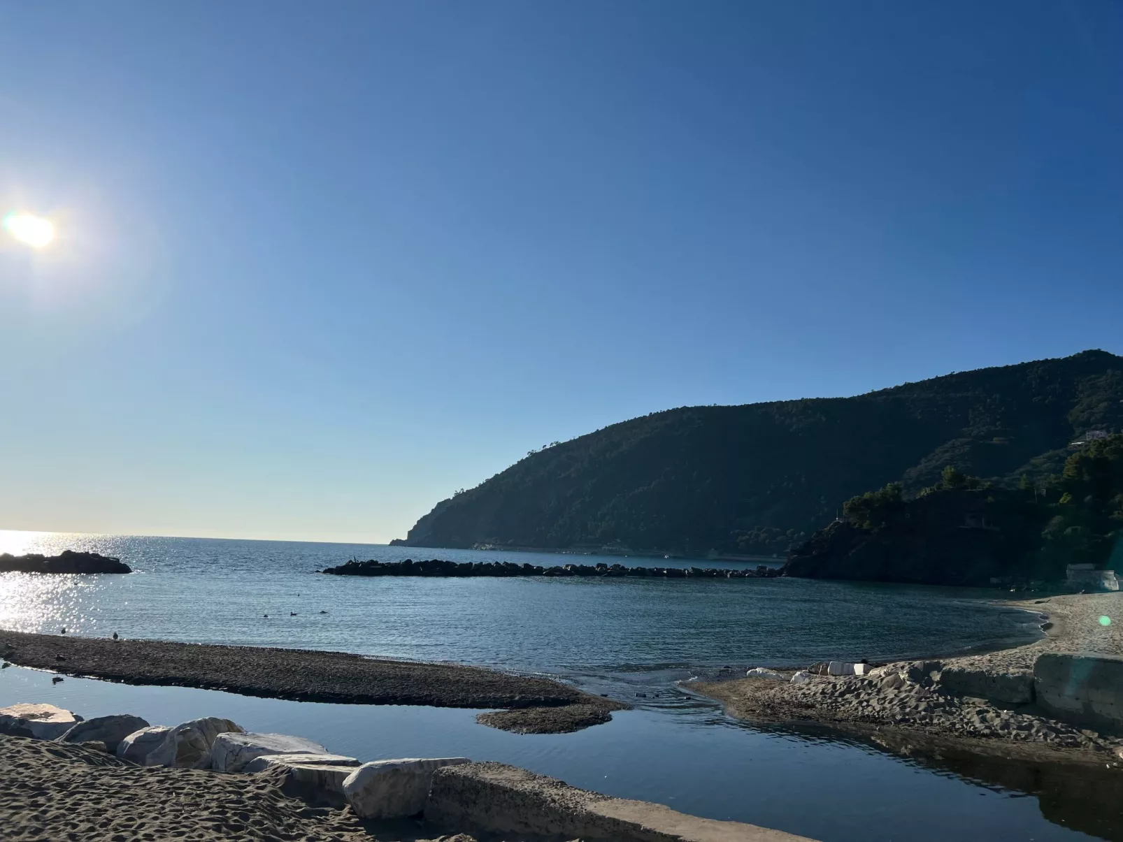 House Agave by Holiday World-Dehors