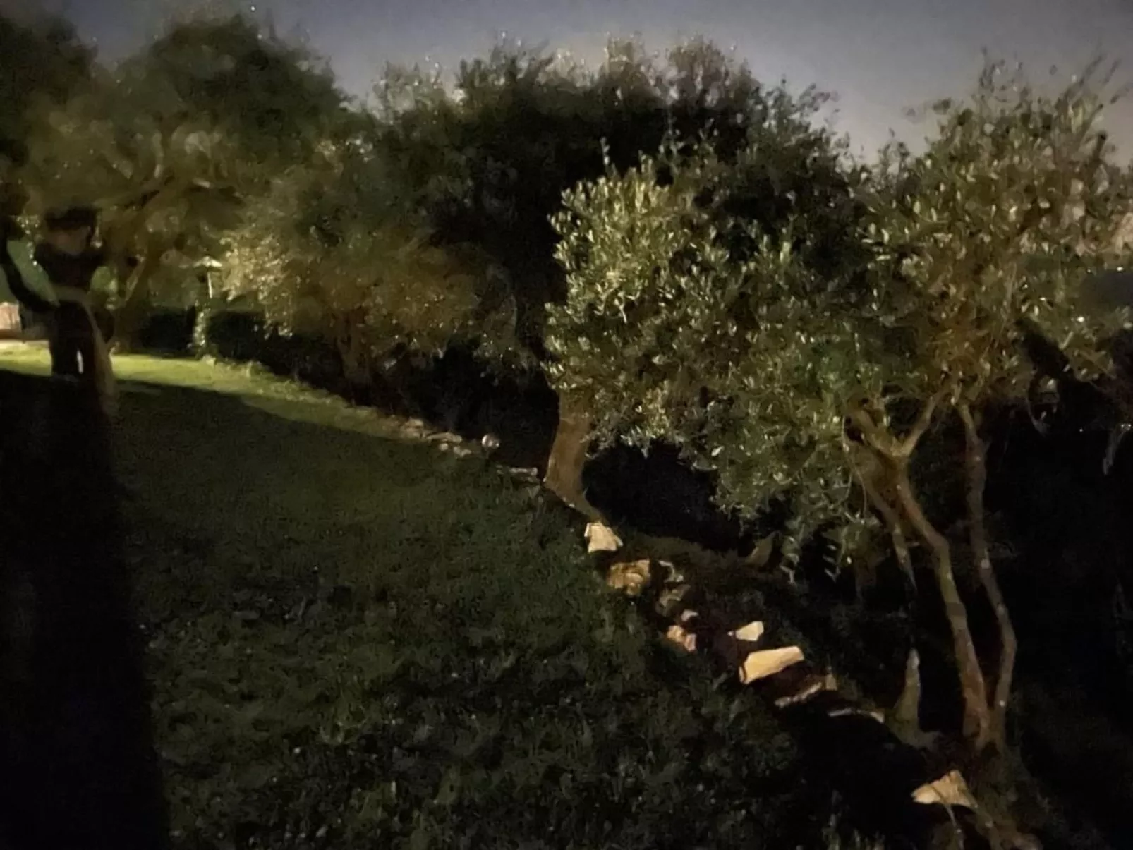 'Villa Lorien' mit Wasserblick-Draußen