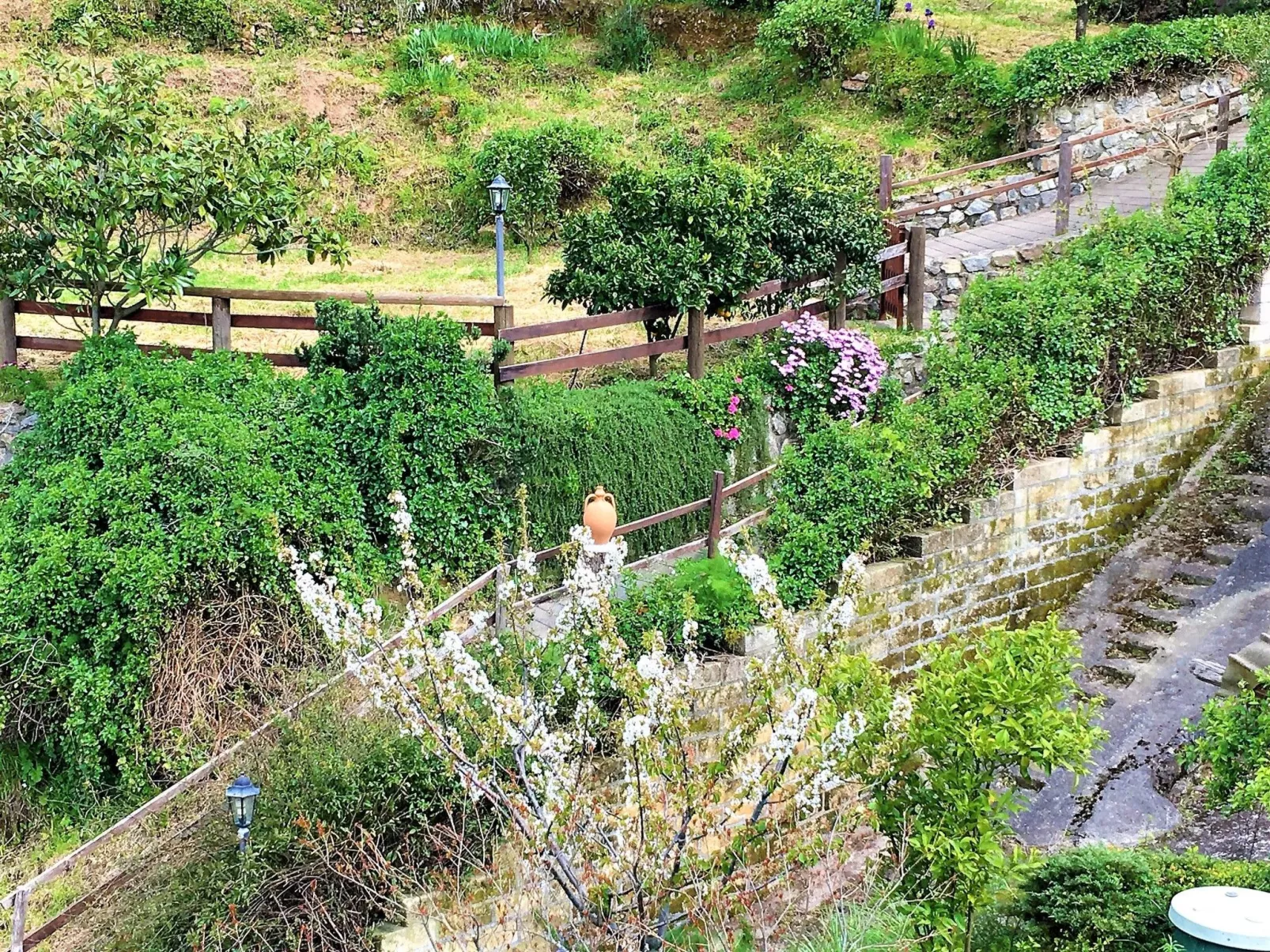 Flache Zeder-Image-tags.info